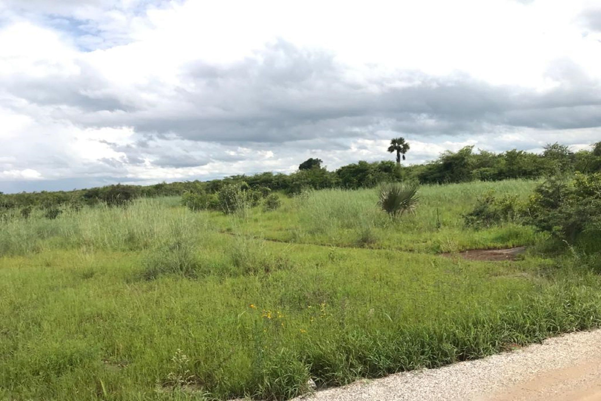 217.5 hectare Vacant Land For Sale Lusaka West (Zambia) 3ZA1600399
