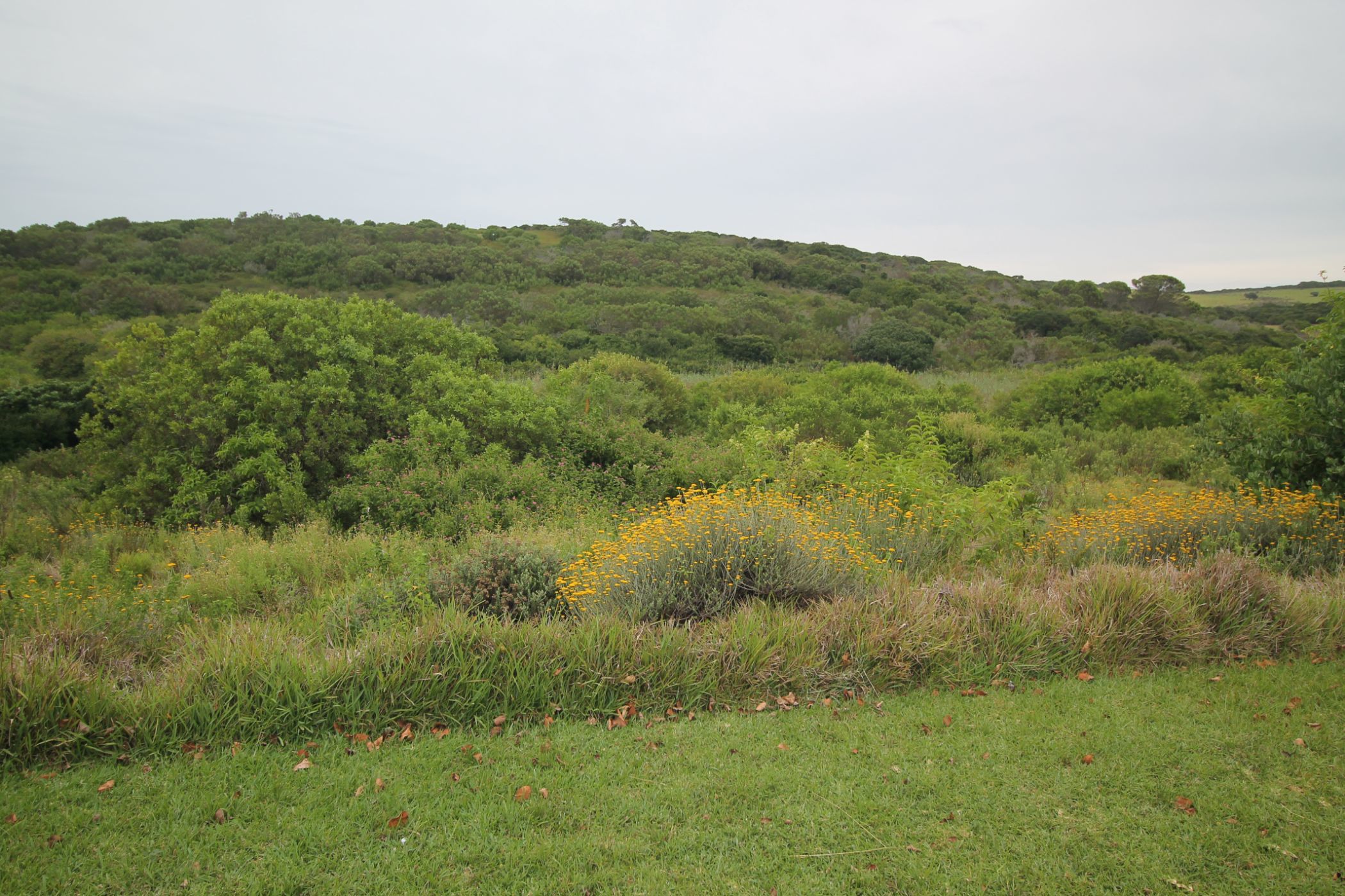 1233 m&sup2; residential vacant land for sale in Forest Downs
