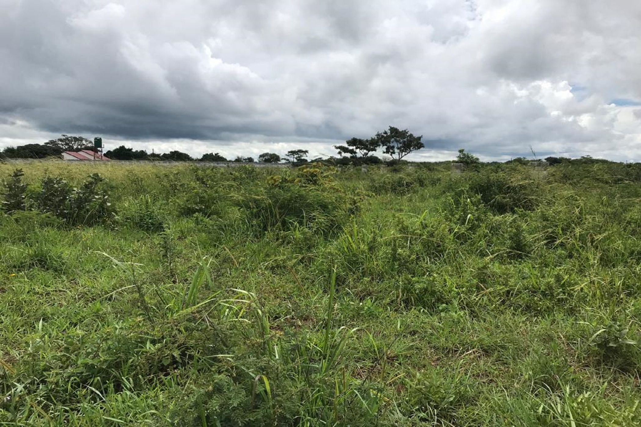 2.9 Acres Vacant Land For Sale Lusaka (Zambia) 3ZA1603536 Pam Golding Properties