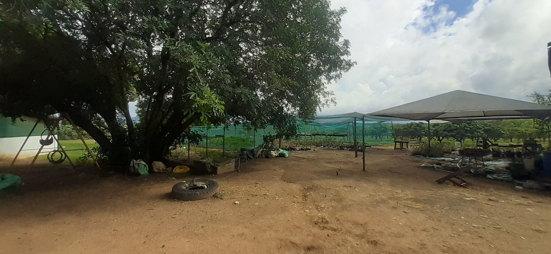 21.41 hectare Mixed Use Farm For Sale Tzaneen Rural 1TA1602005