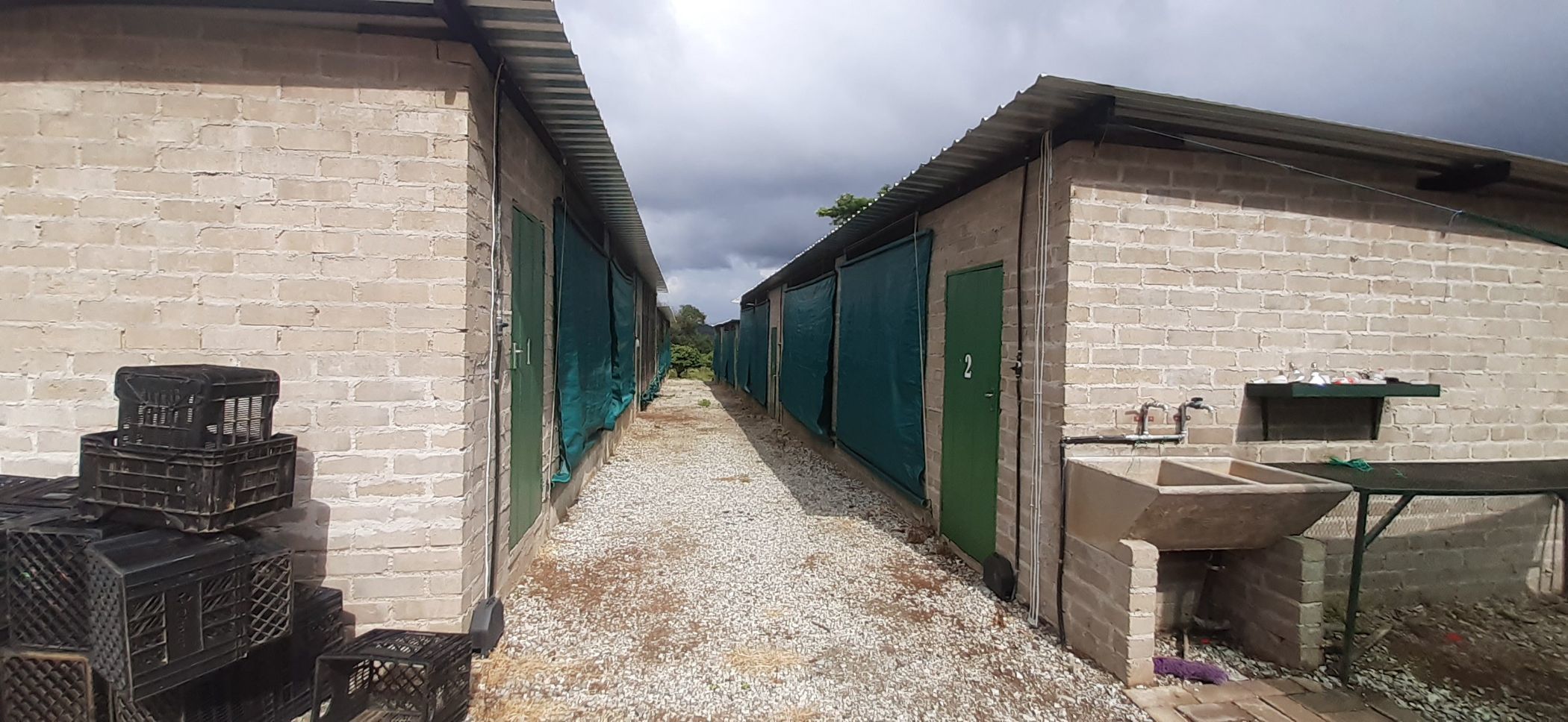 21.41 hectare Mixed Use Farm For Sale Tzaneen Rural 1TA1602005