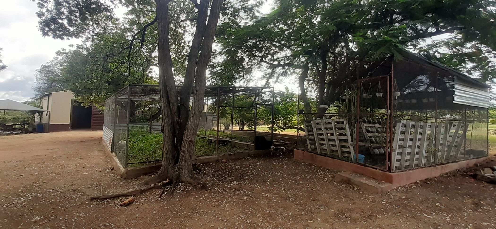 21.41 hectare Mixed Use Farm For Sale Tzaneen Rural 1TA1602005