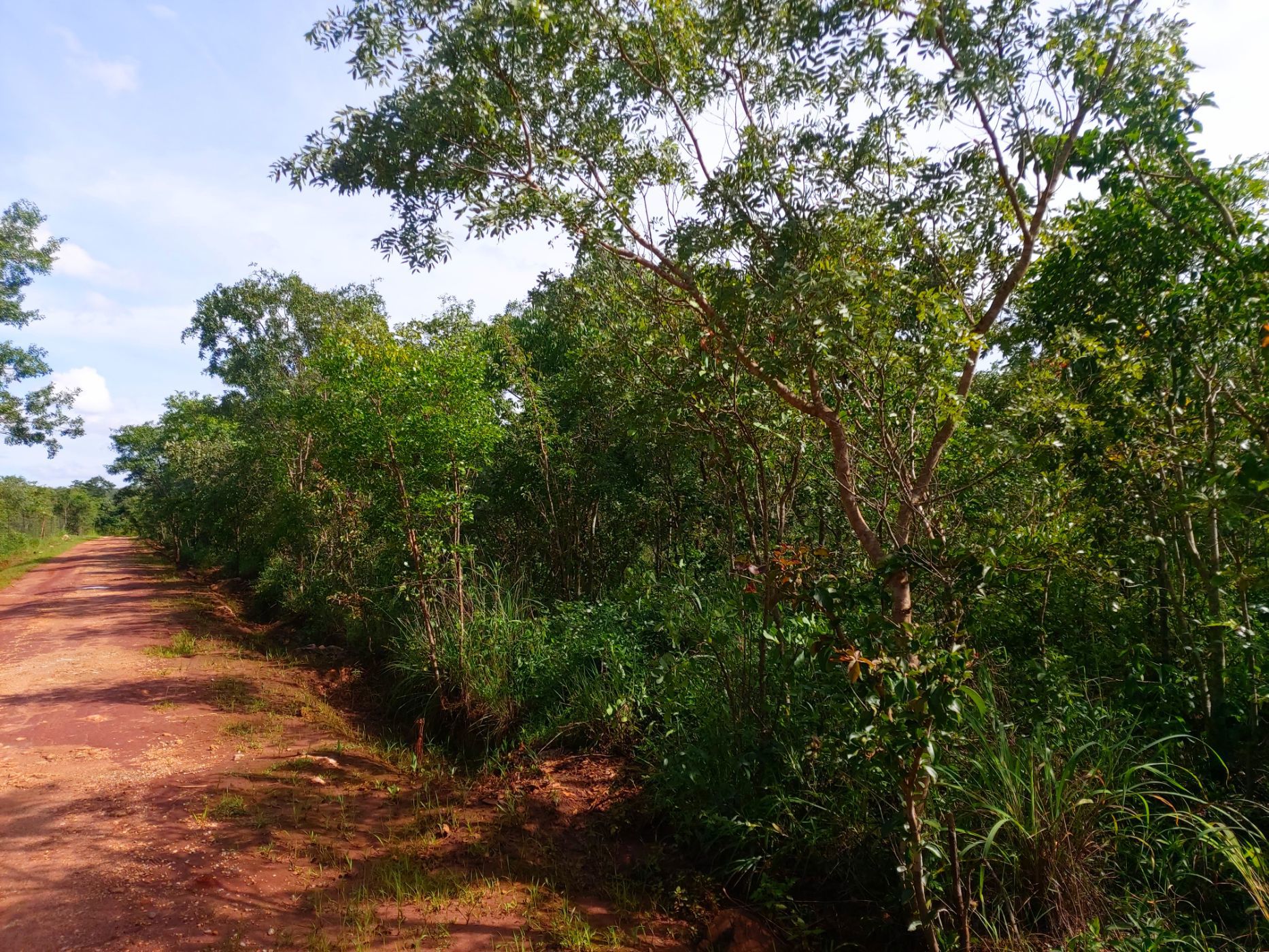 2.02 hectare Vacant Land For Sale Leopards Hill (Zambia) 3ZA1621811