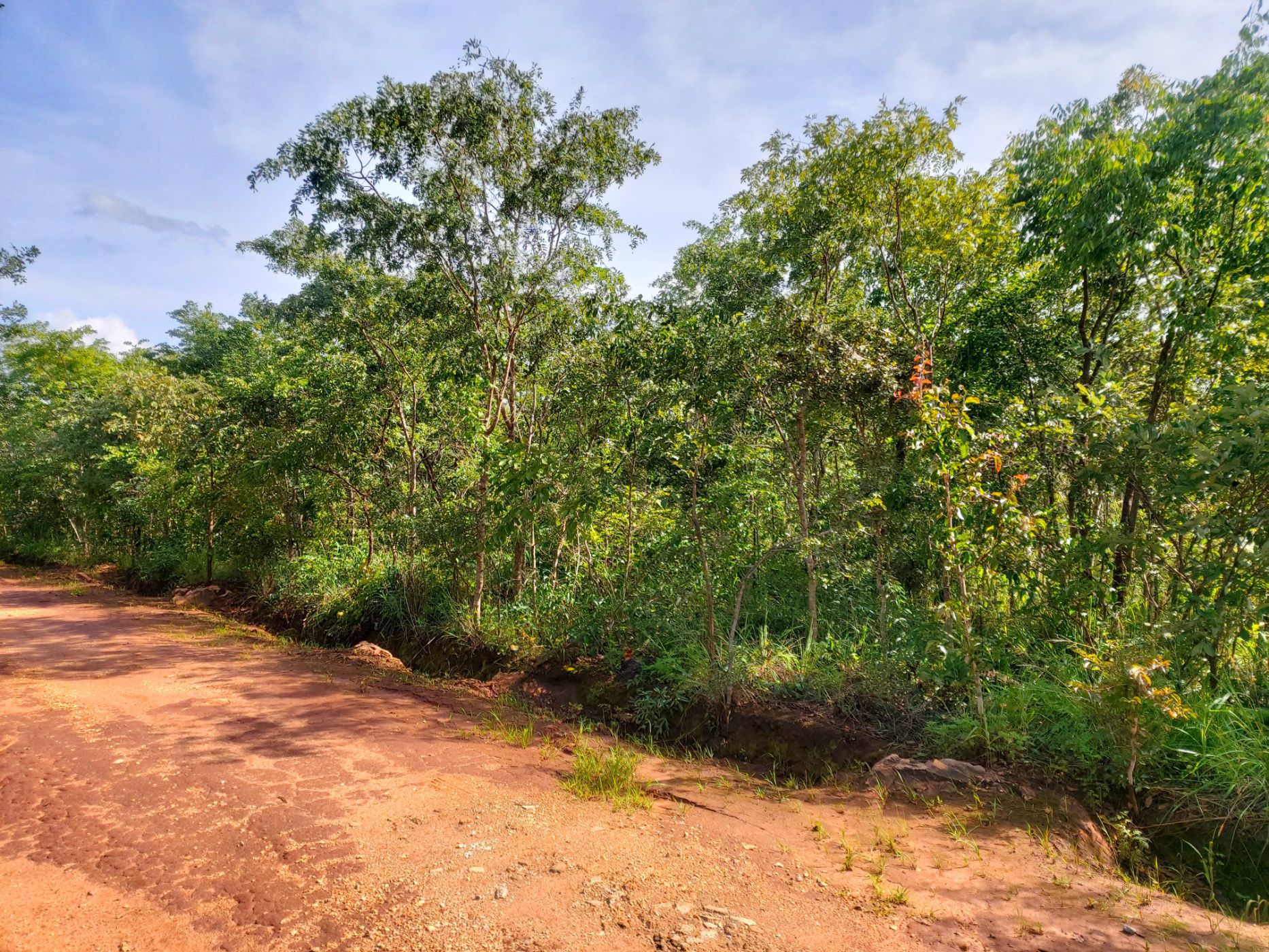 2.02 hectare Vacant Land For Sale Leopards Hill (Zambia) 3ZA1621811