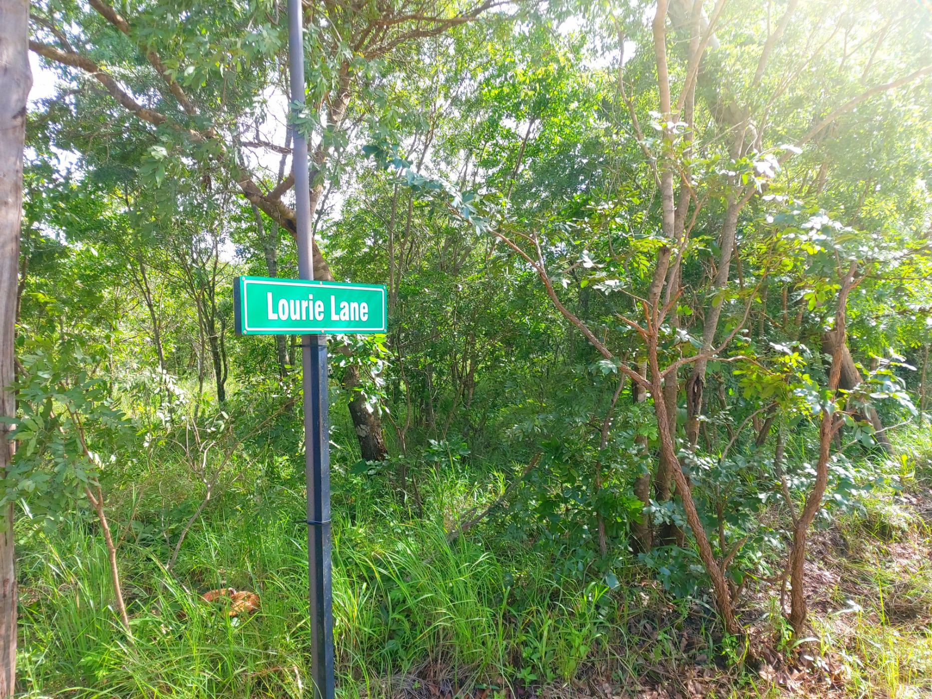 2.02 hectare Vacant Land For Sale Leopards Hill (Zambia) 3ZA1621811