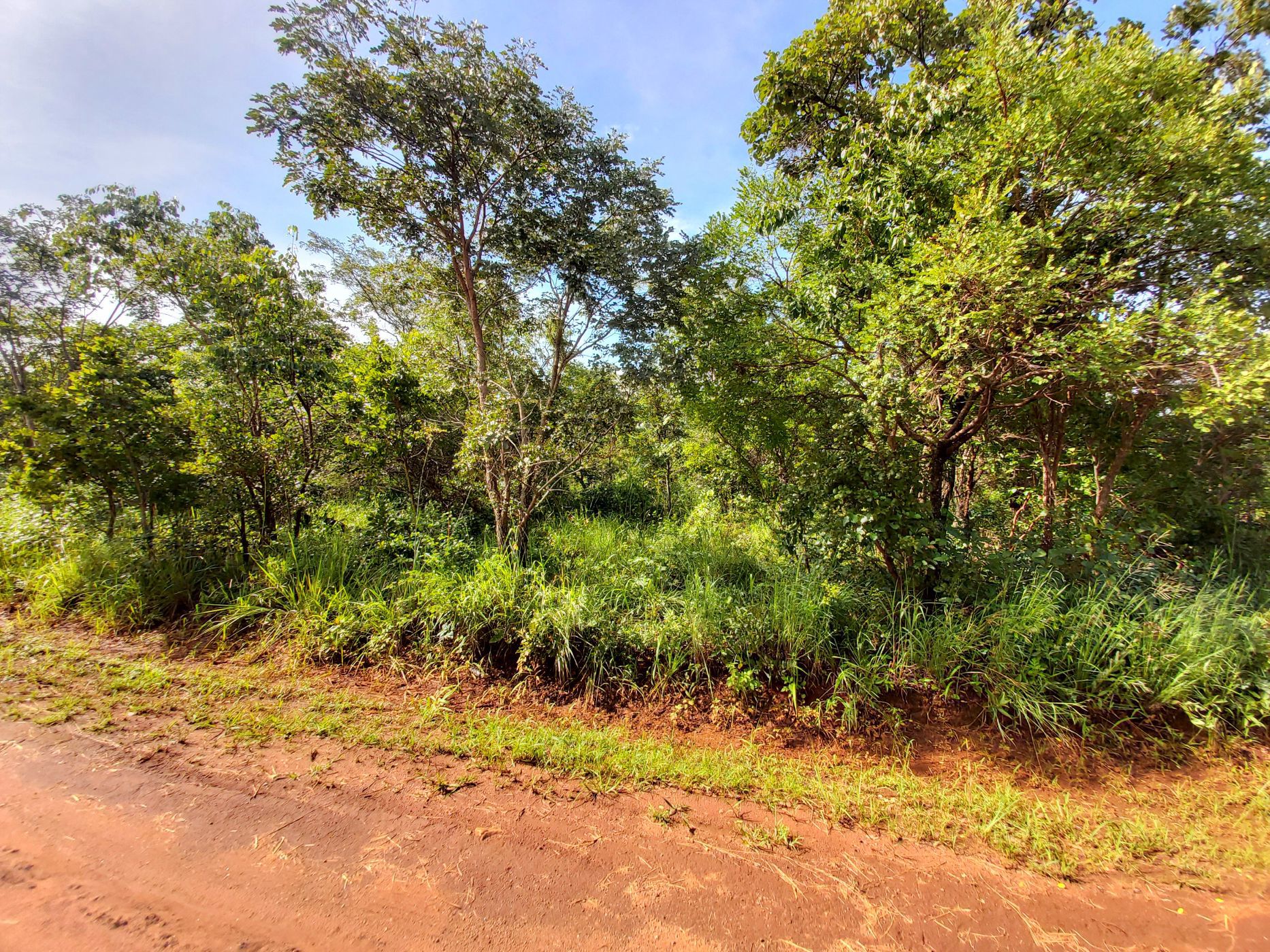 2.02 hectare Vacant Land For Sale Leopards Hill (Zambia) 3ZA1621811