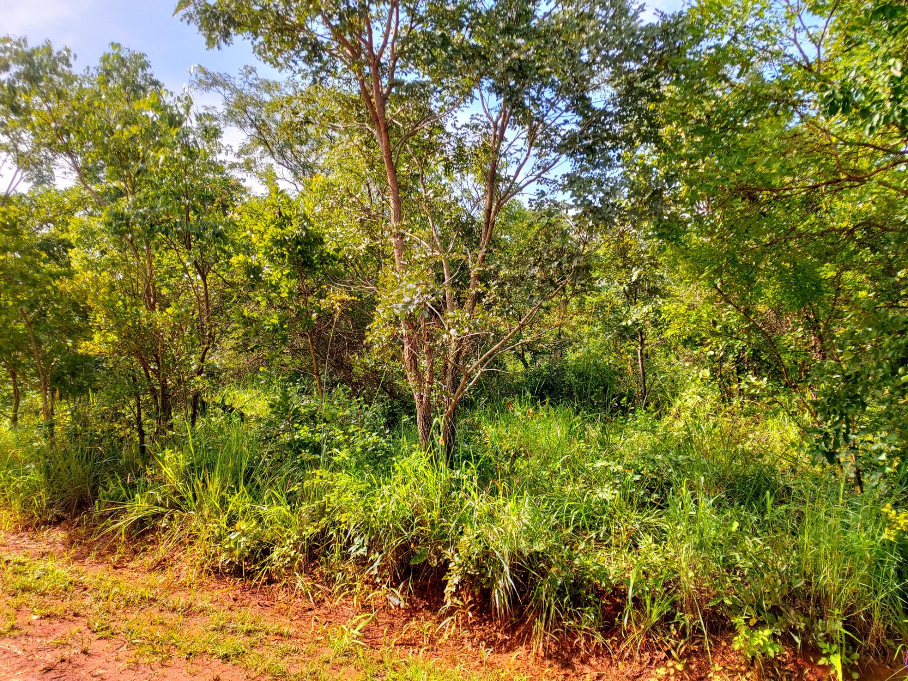 2.02 hectare Vacant Land For Sale Leopards Hill (Zambia) 3ZA1621811