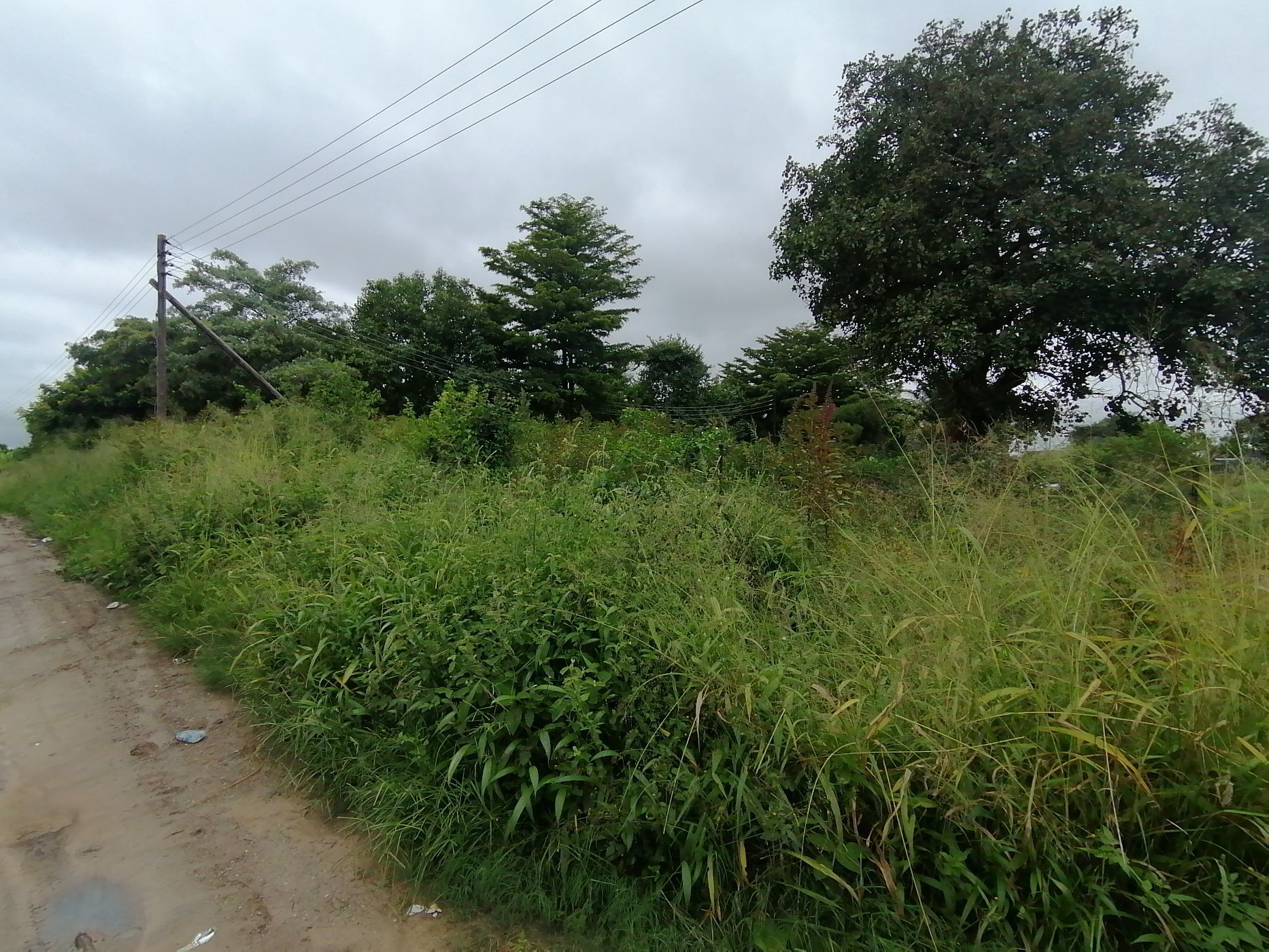 1187 m2 Vacant Land For Sale Silverest (Zambia) 3ZA1603879 Pam