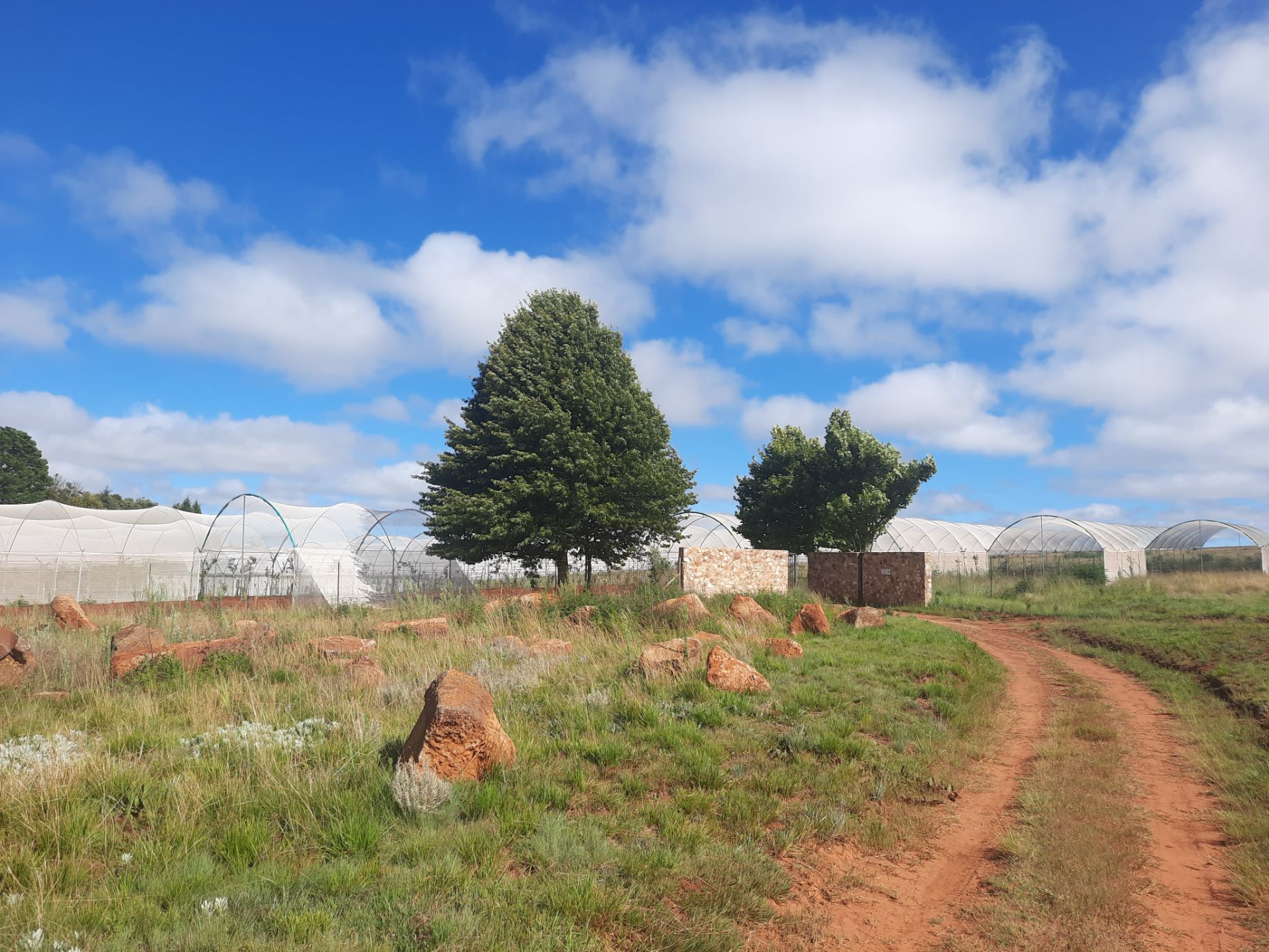 136.65 hectare Mixed Use Farm For Sale Dullstroom 1DS1602976 Pam
