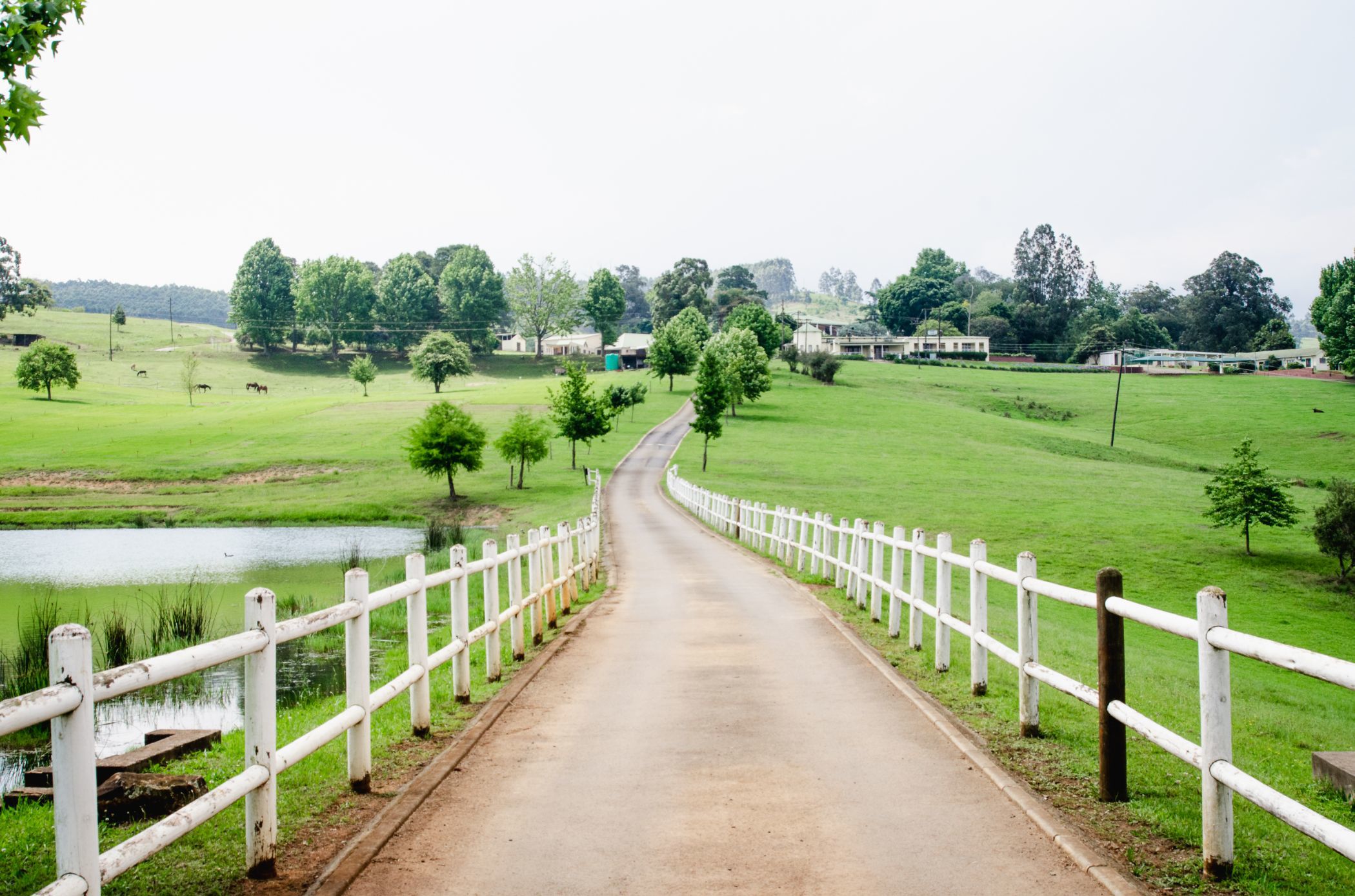 140 hectare Lifestyle Property For Sale Lions River 1PM1608187