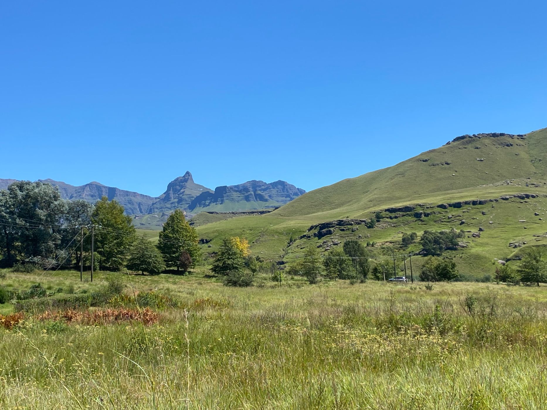 4.24 hectare smallholding for sale in Underberg