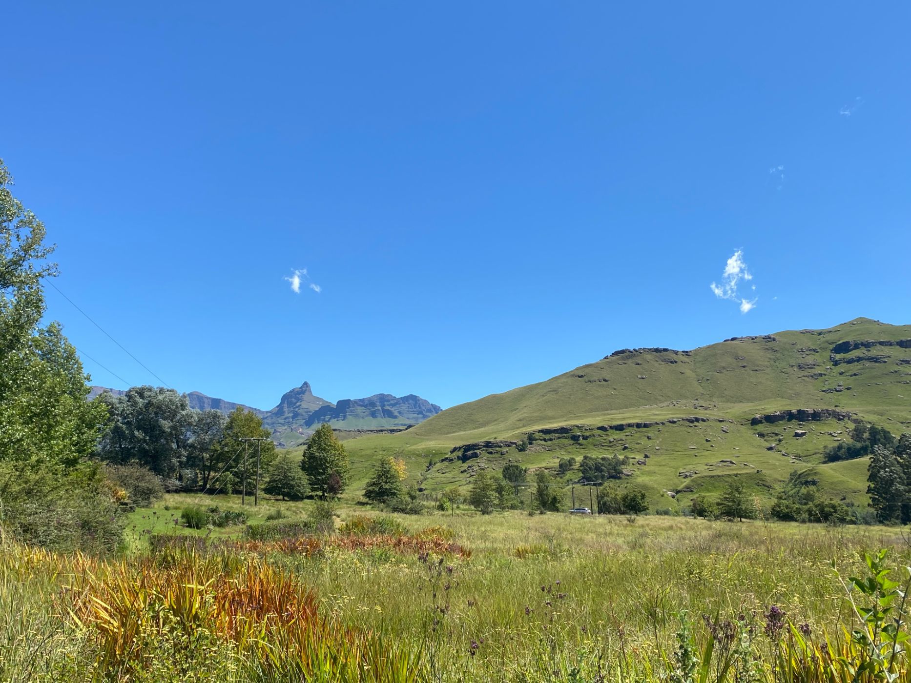 4.24 hectare Smallholding For Sale Underberg 1UB1603055 Pam
