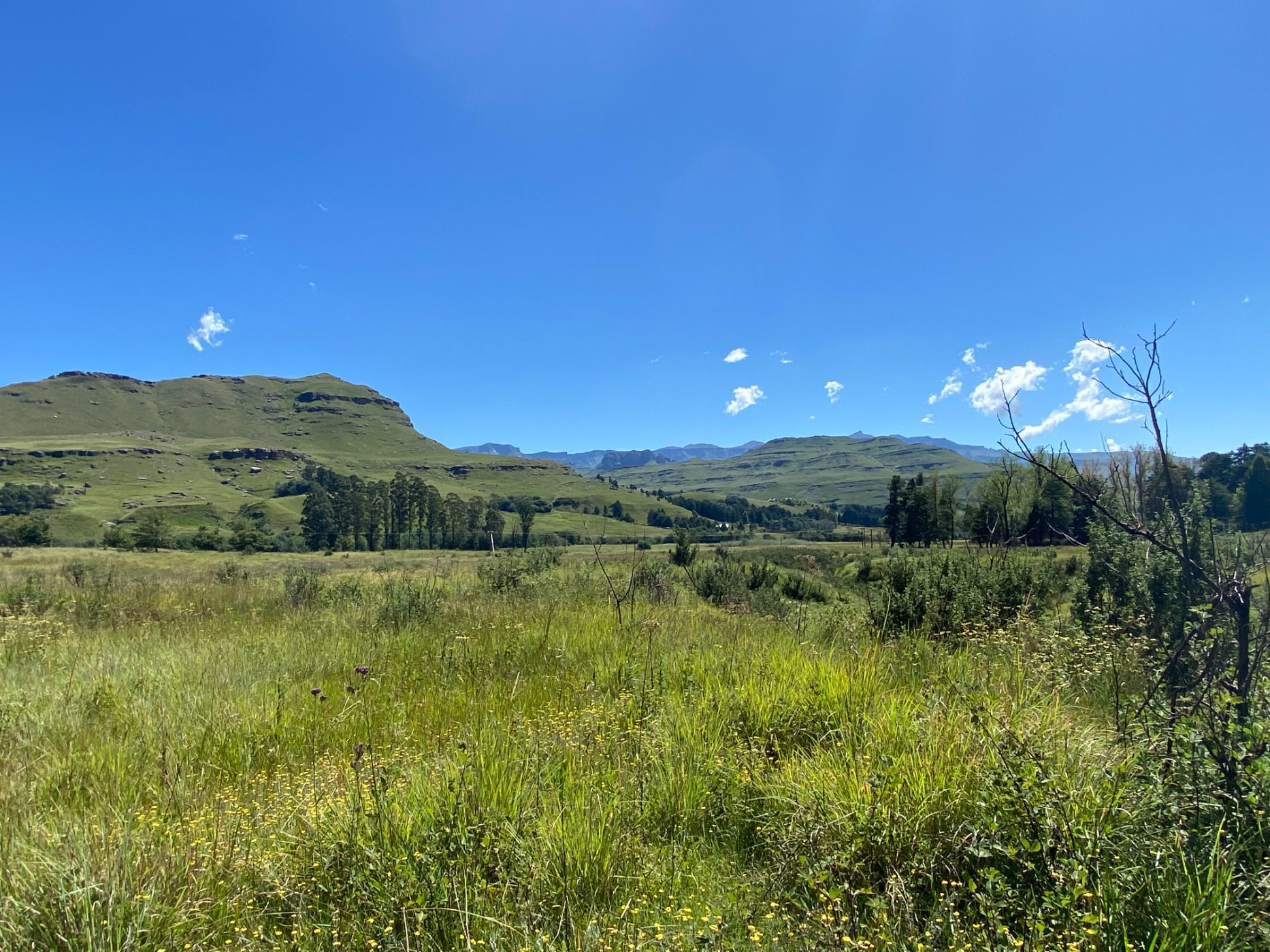 4.24 hectare Smallholding For Sale Underberg 1UB1603055 Pam