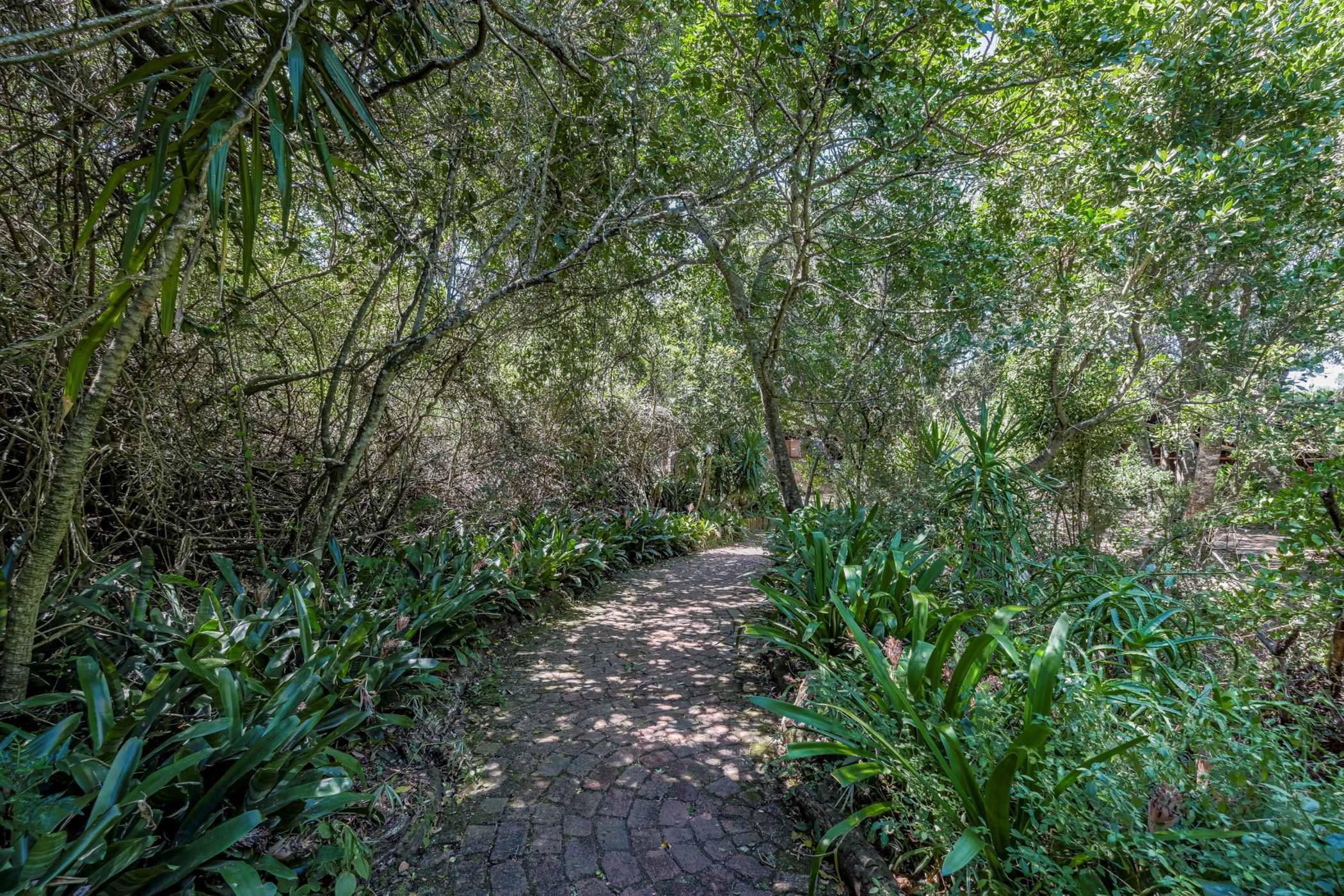 House for sale in Lovemore Park
