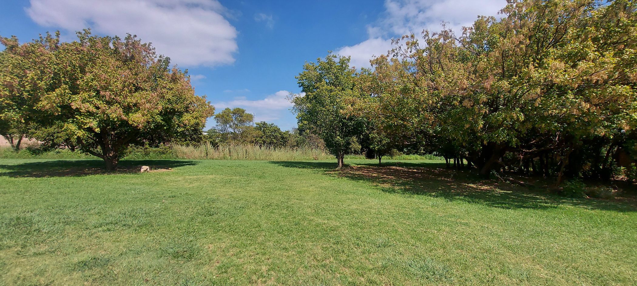 1493 m&sup2; vacant land for sale in Tijger Vallei