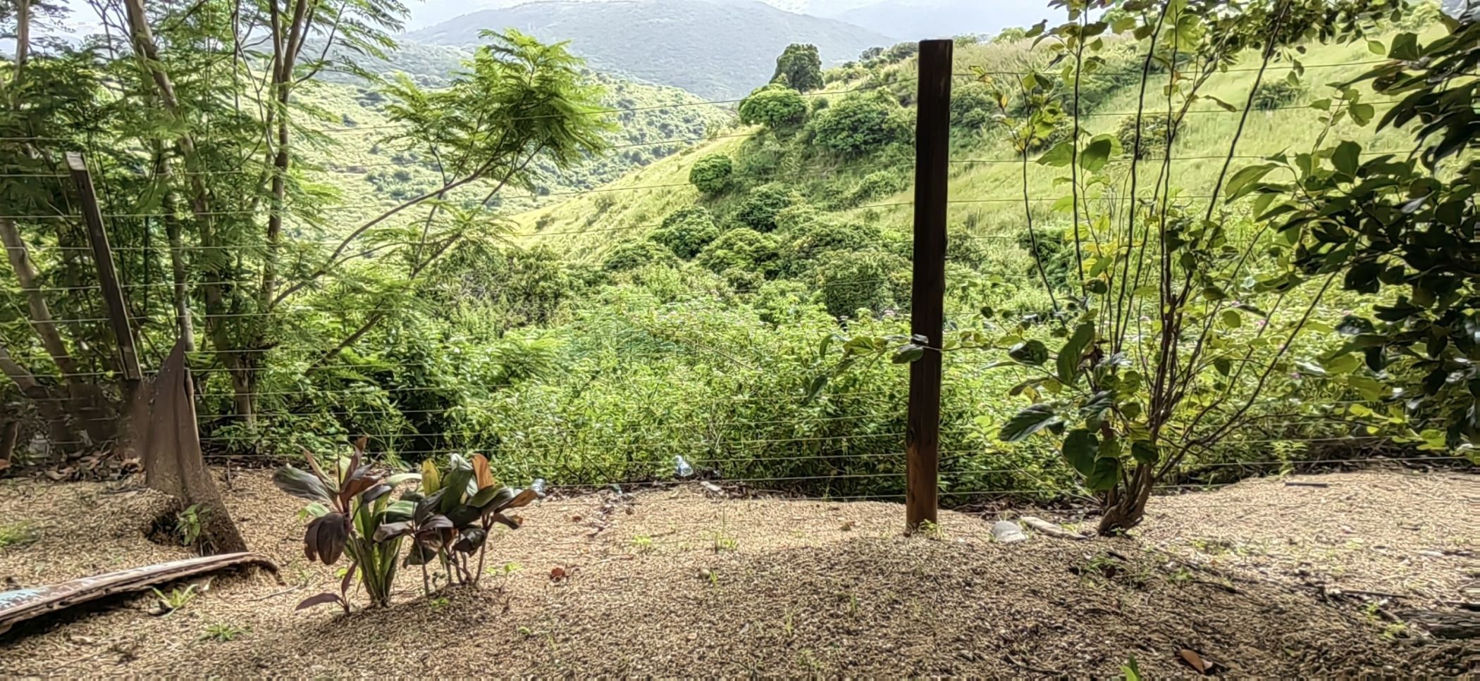 80900 m2 Lifestyle Property For Sale Paddock/Oribi Flats 1PX1606355