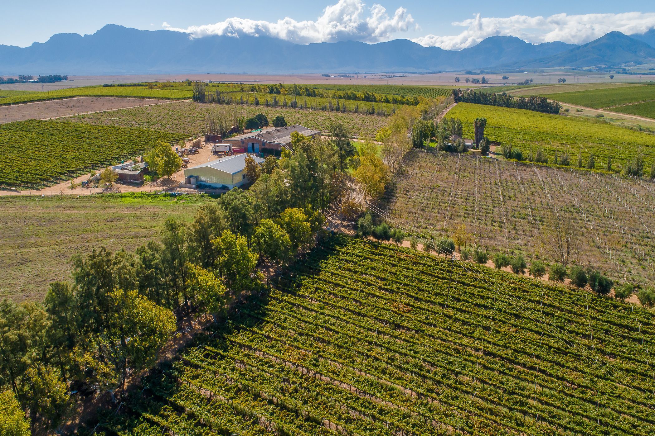 102.98 hectare Fruit Farm For Sale Wellington TK1607636 Pam