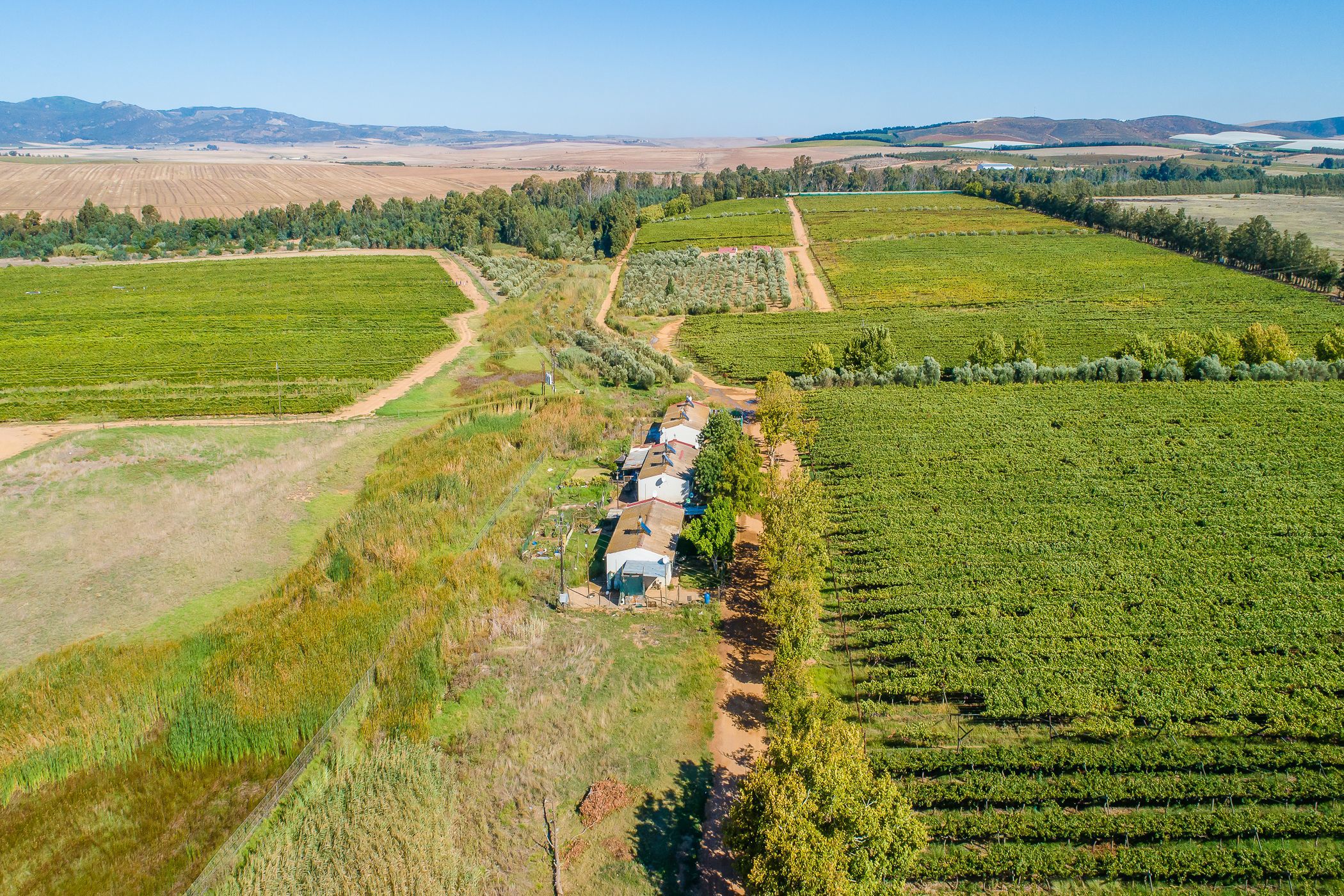 102.98 hectare Fruit Farm For Sale Wellington TK1607636 Pam