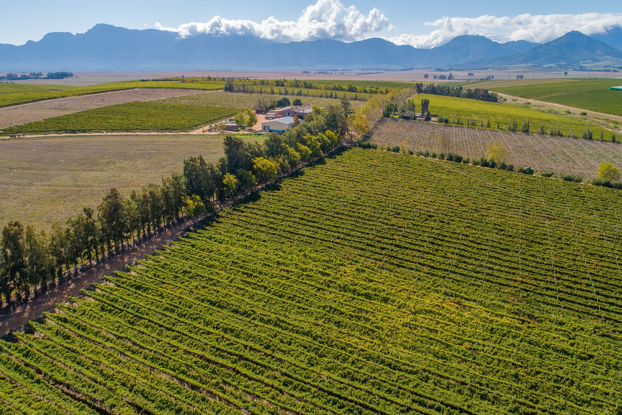 102.98 hectare Fruit Farm For Sale Wellington TK1607636 Pam