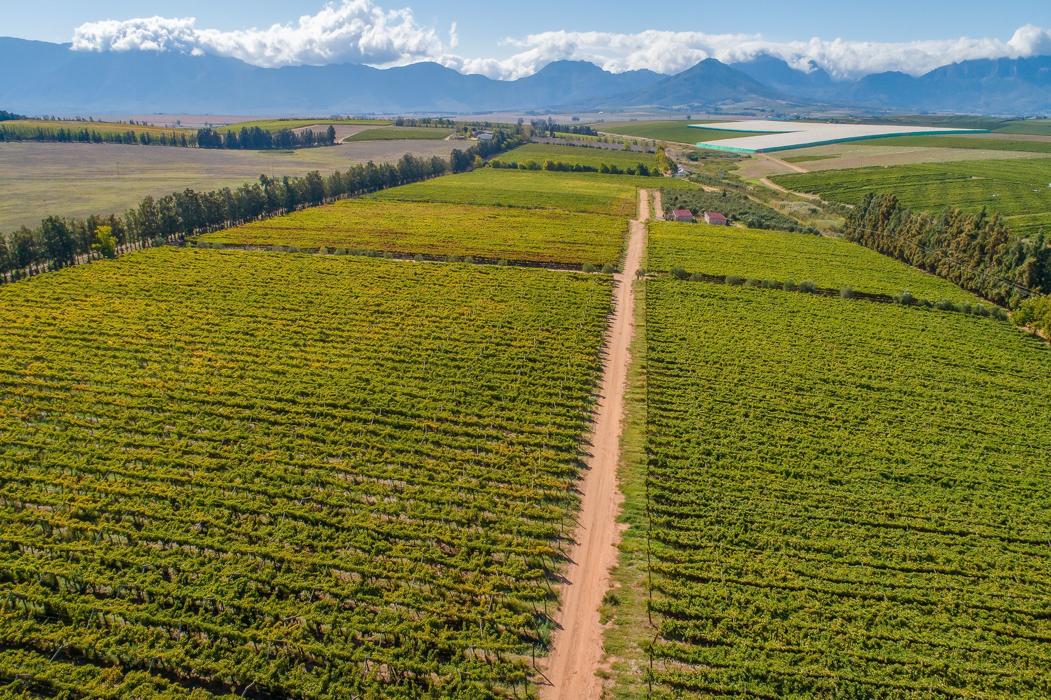 102.98 hectare Fruit Farm For Sale Wellington TK1607636 Pam