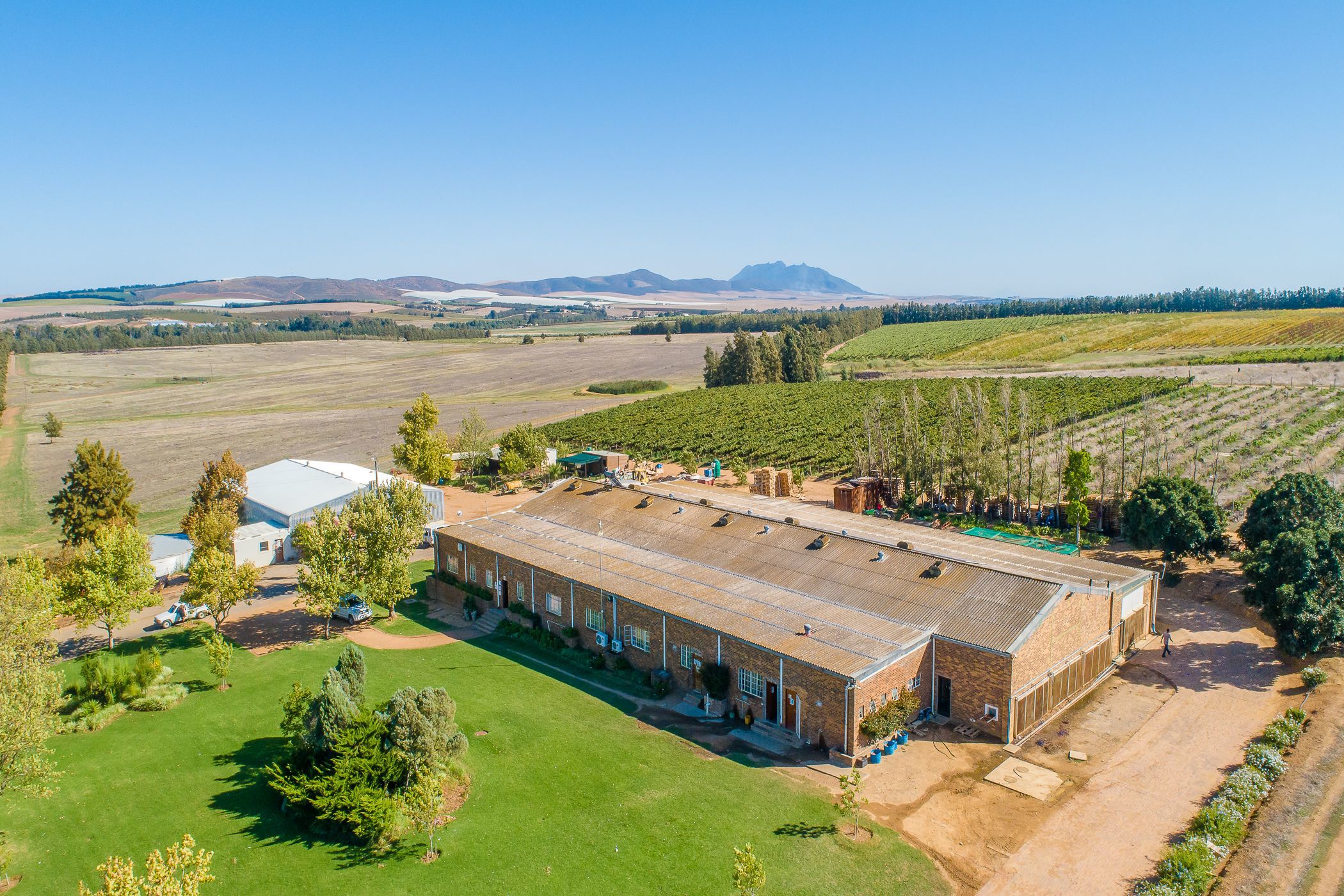 102.98 hectare Fruit Farm For Sale Wellington TK1607636 Pam