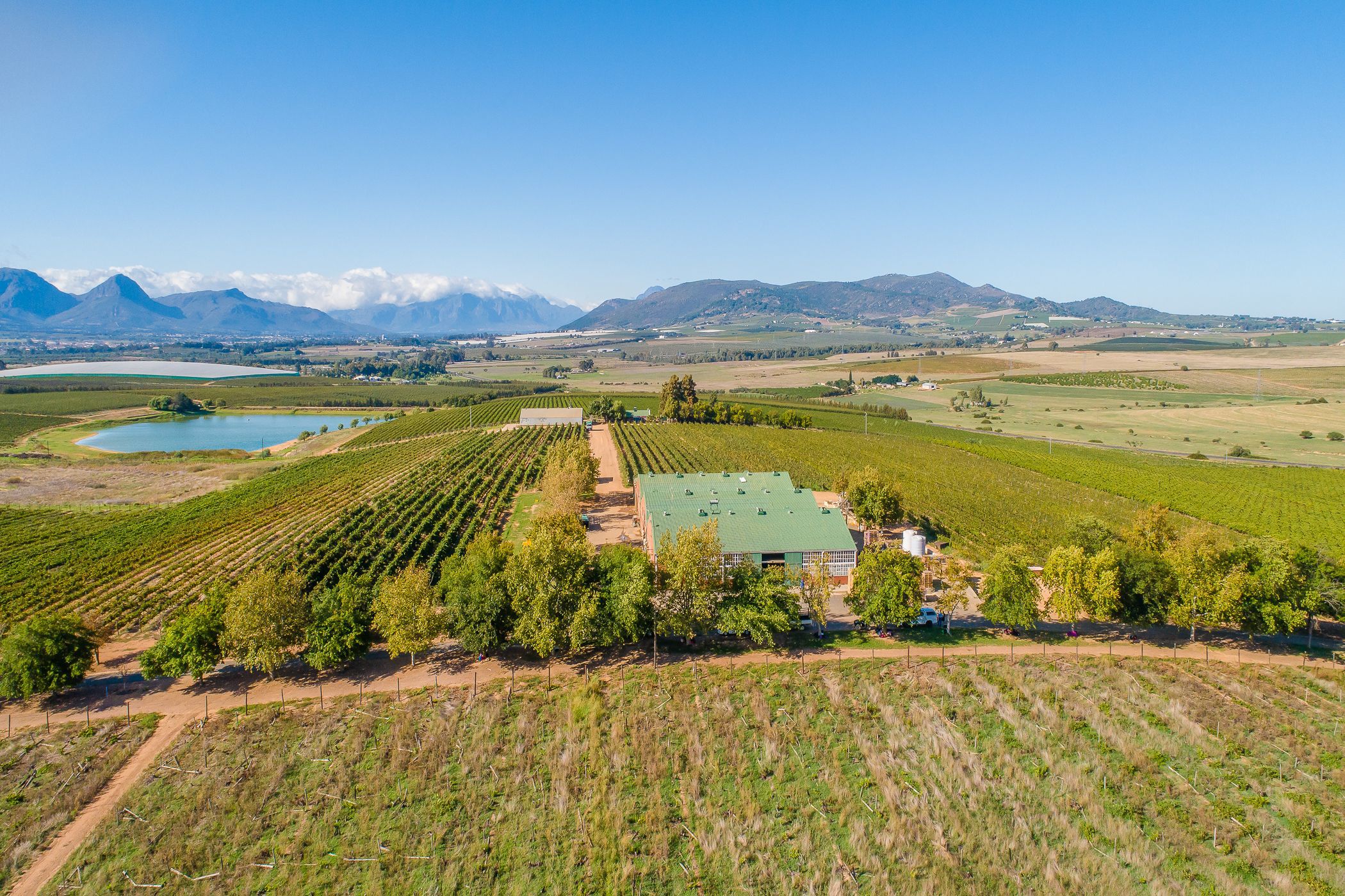 120.92 hectare Fruit Farm For Sale Wellington TK1607647 Pam