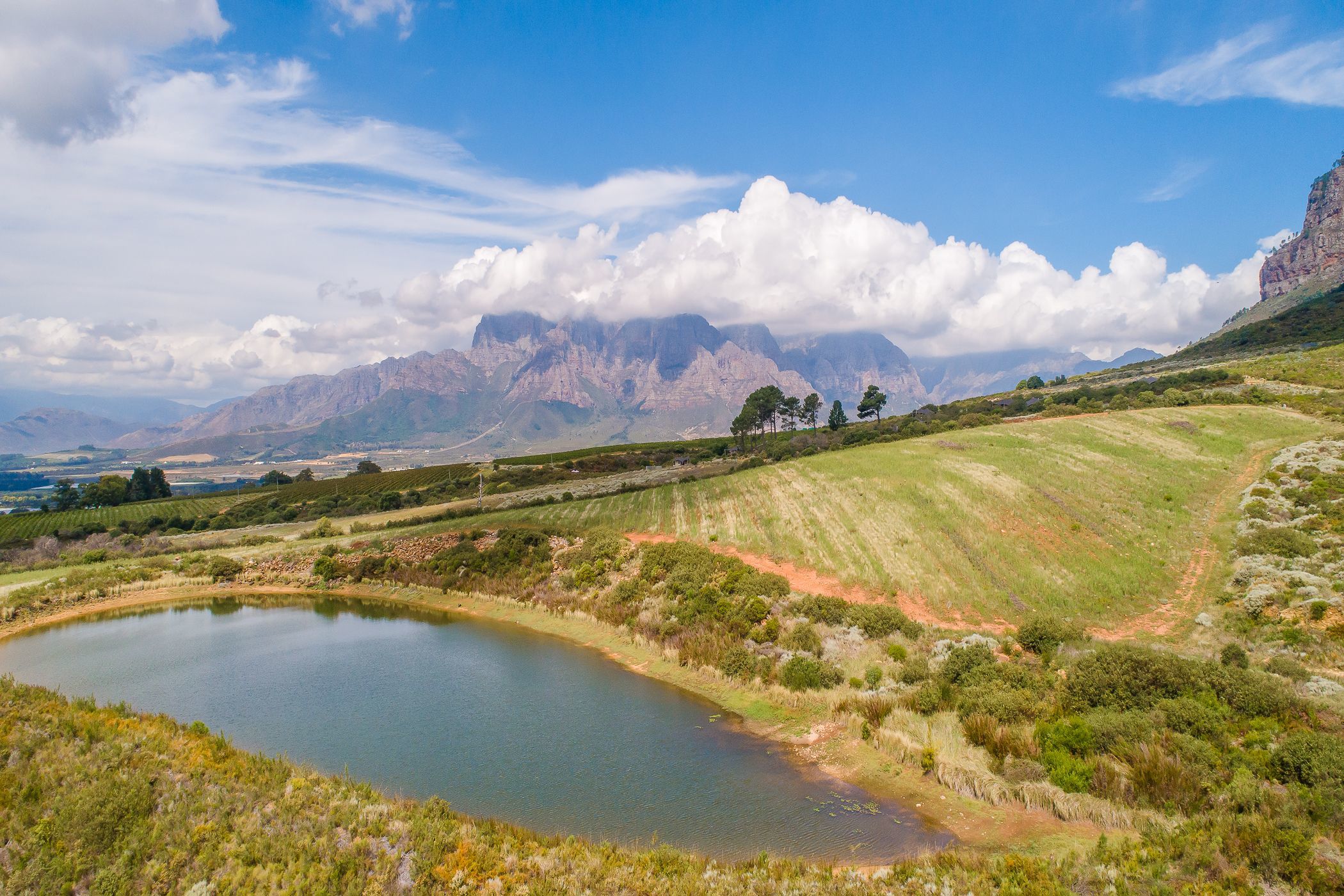 59.52 hectare Wine Farm For Sale | Paarl | TK1610041 | Pam Golding ...