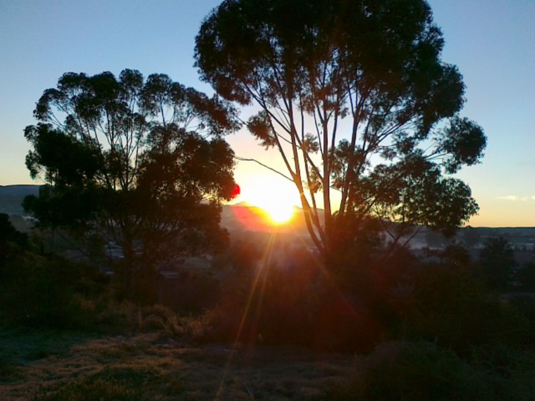 1501 m2 Vacant Land For Sale Heidelberg (Garden Route) 1SR1608130