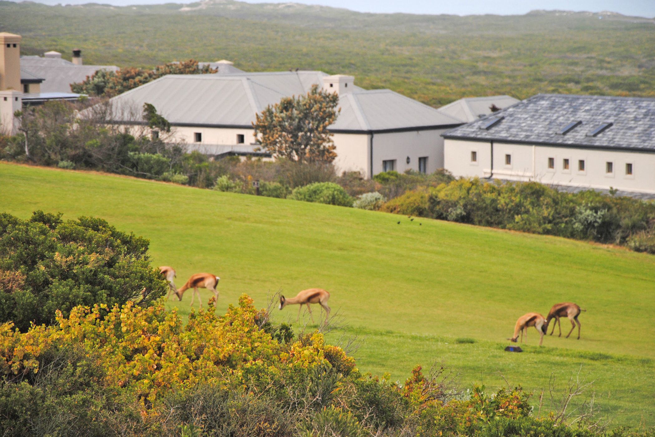 4 Bedroom Golf Estate House For Sale Atlantic Beach Estate