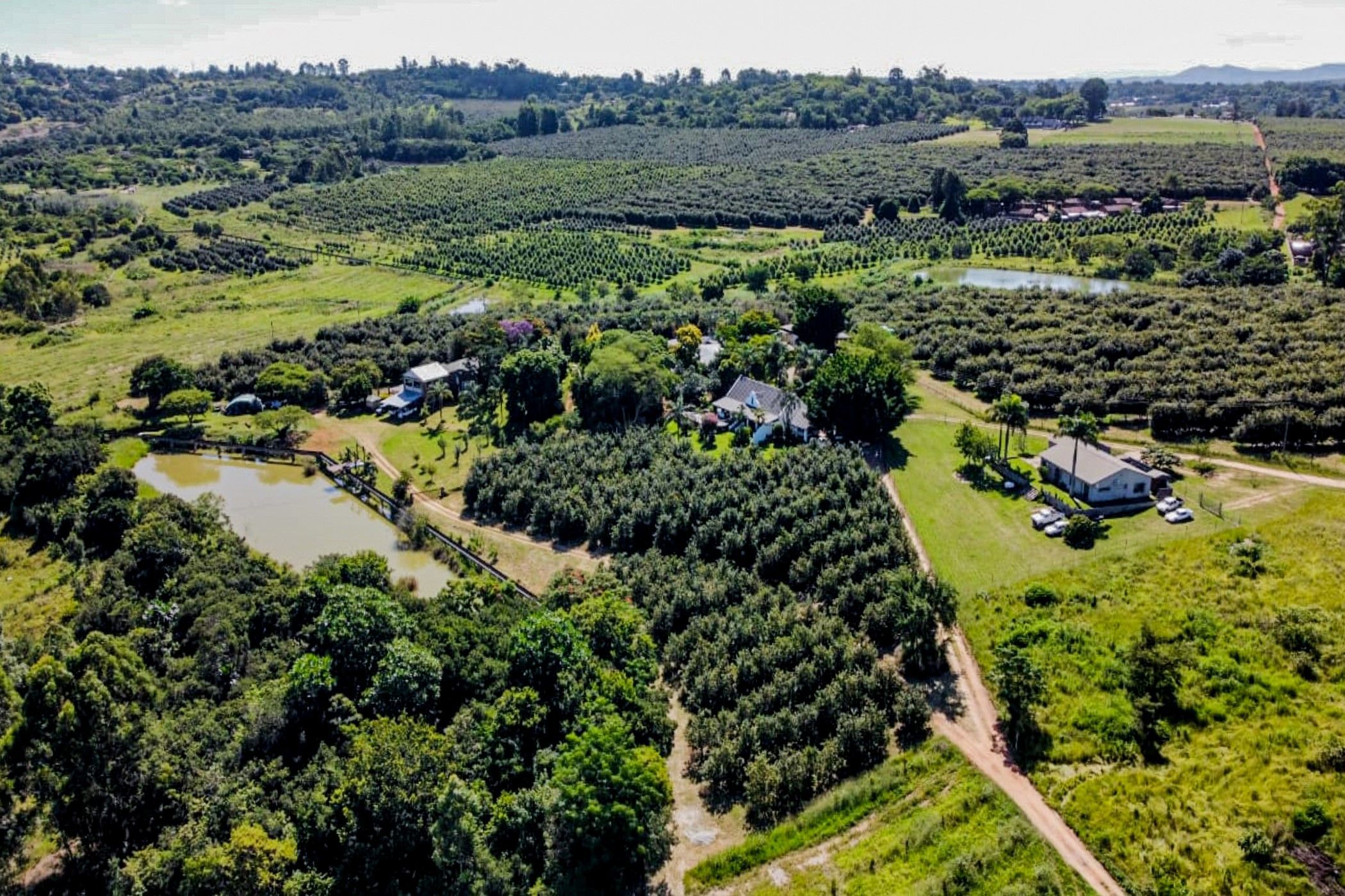 93350 m2 Smallholding For Sale White River AH 1WR1605039 Pam