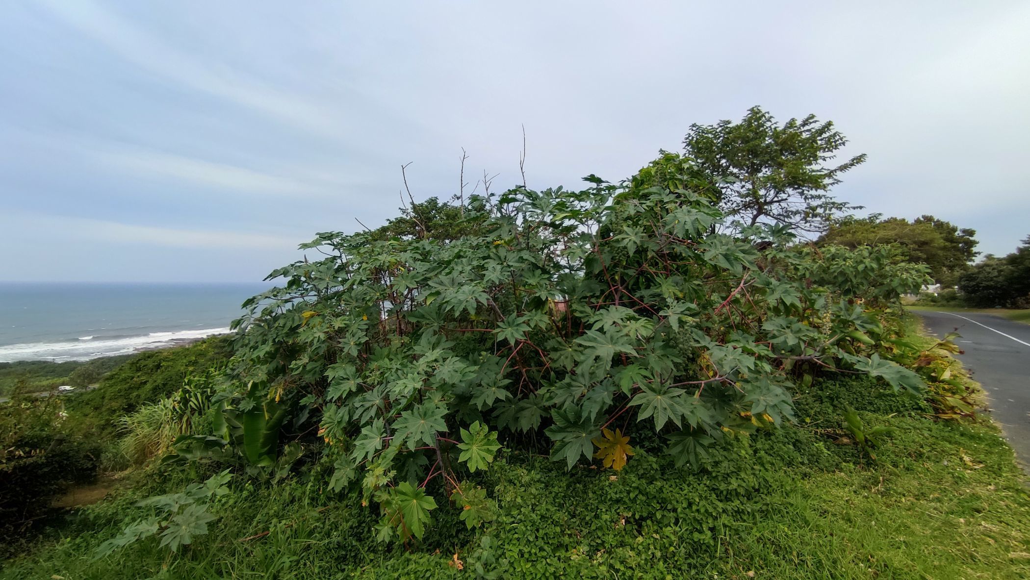 2342 m2 Vacant Land For Sale Oslo Beach (Port Shepstone) 1PX1611805 Pam Golding Properties