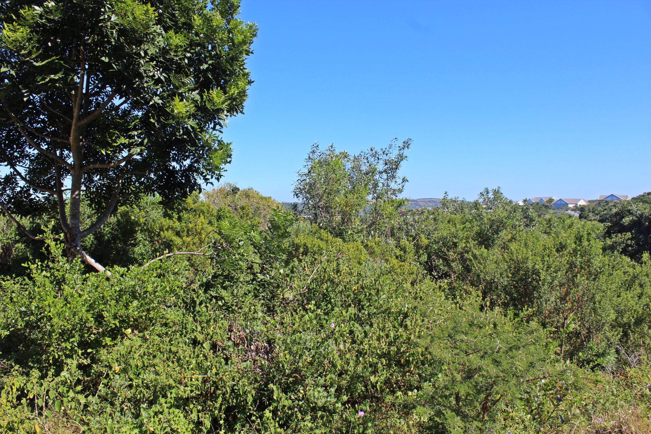 800 m2 Residential Vacant Land For Sale Seafield (Kleinemonde