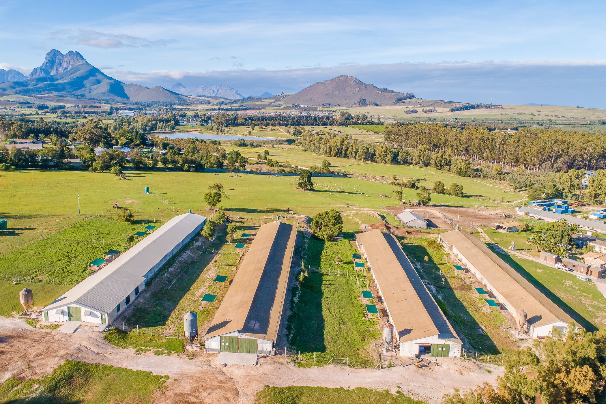 5.6 hectare Poultry Farm For Sale Klapmuts TK1609533 Pam Golding