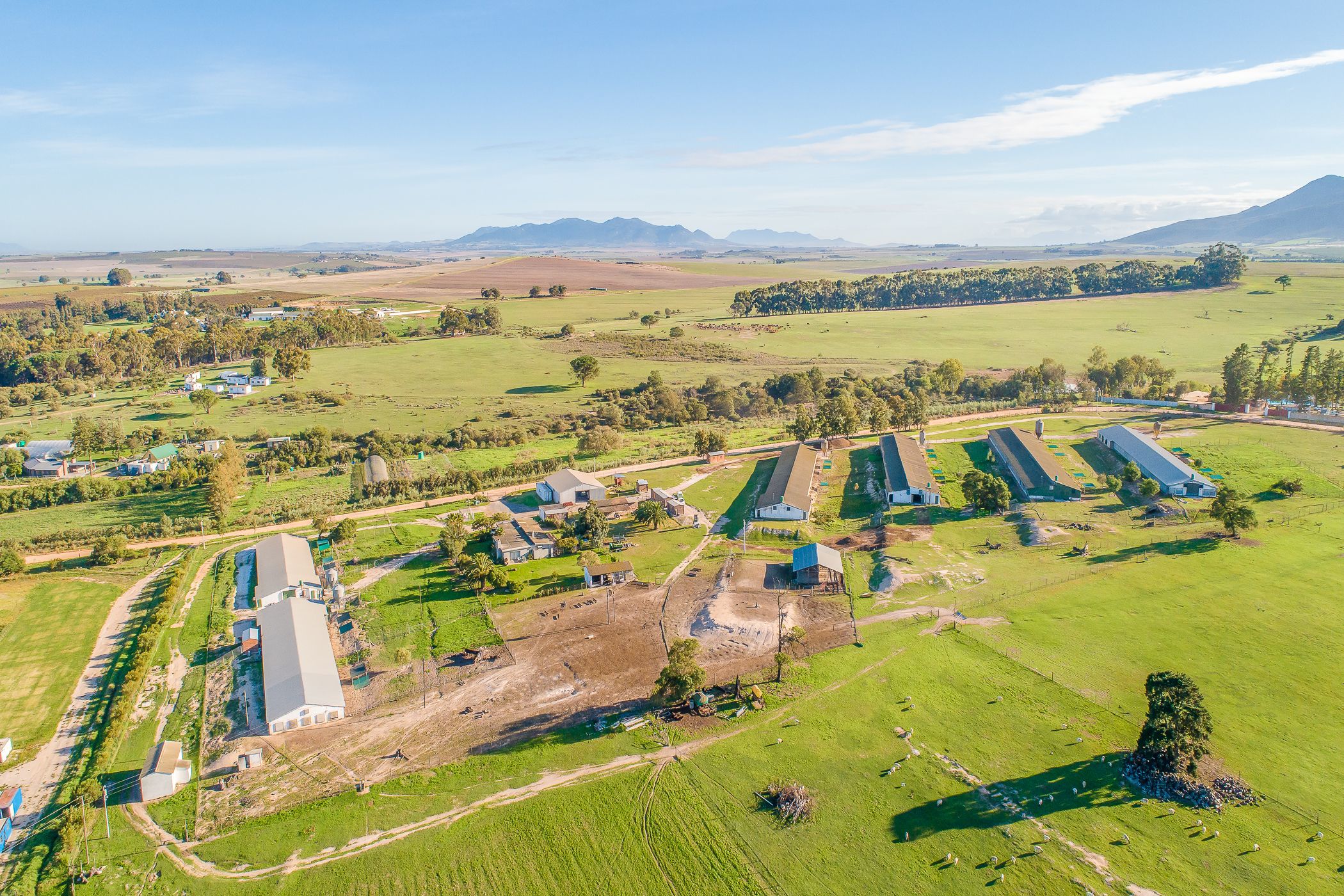 5.6 hectare Poultry Farm For Sale Klapmuts TK1609533 Pam Golding