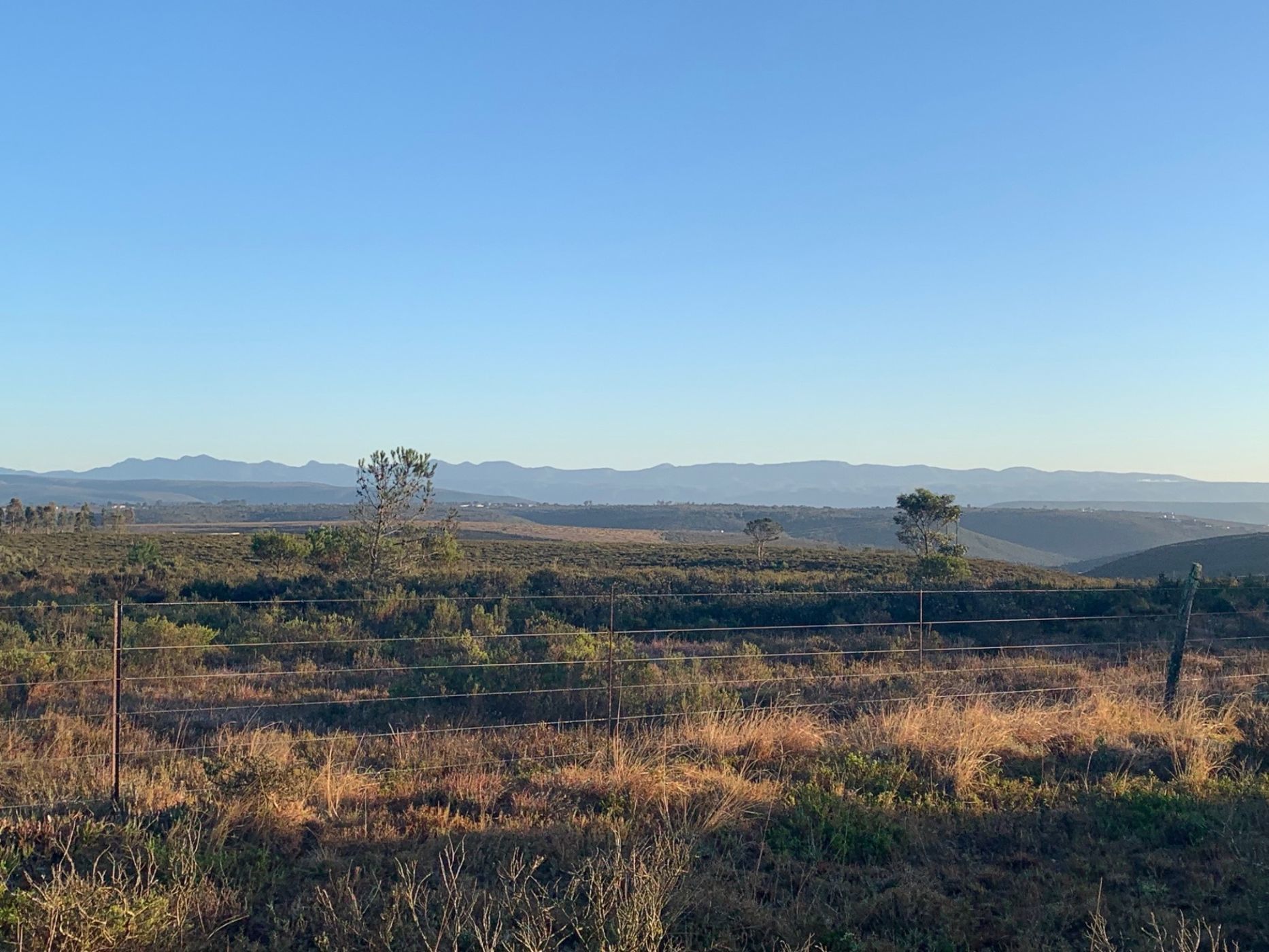 9.8 hectare smallholding for sale in Uitenhage Rural (Kariega Rural) 