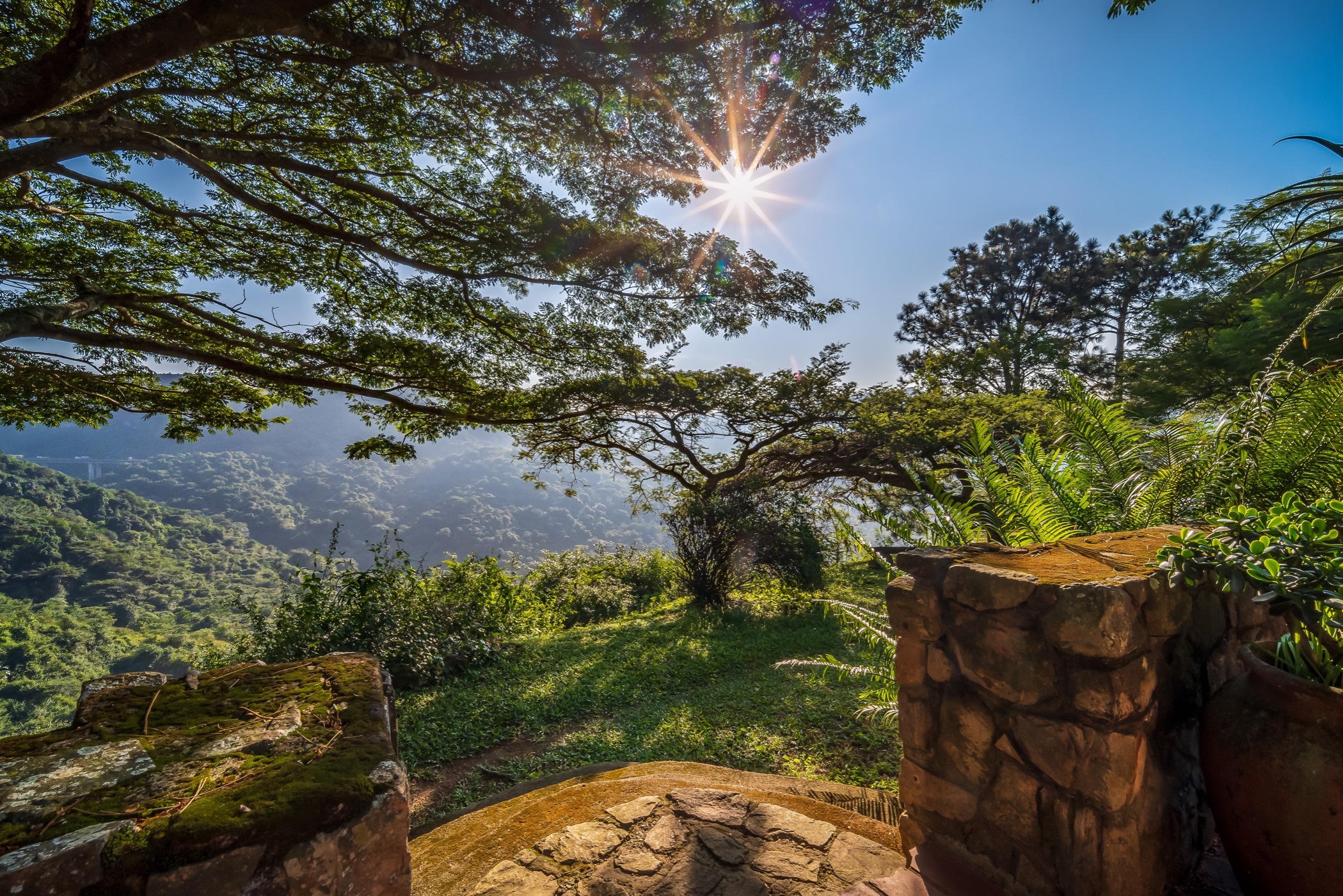 16 guest room bed & breakfast for sale in Shongweni