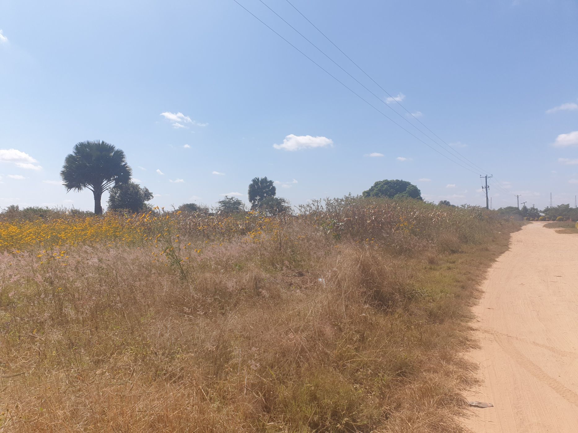 3273 m2 Vacant Land For Sale | Water Falls (Zambia) | 3ZA1612174 | Pam ...