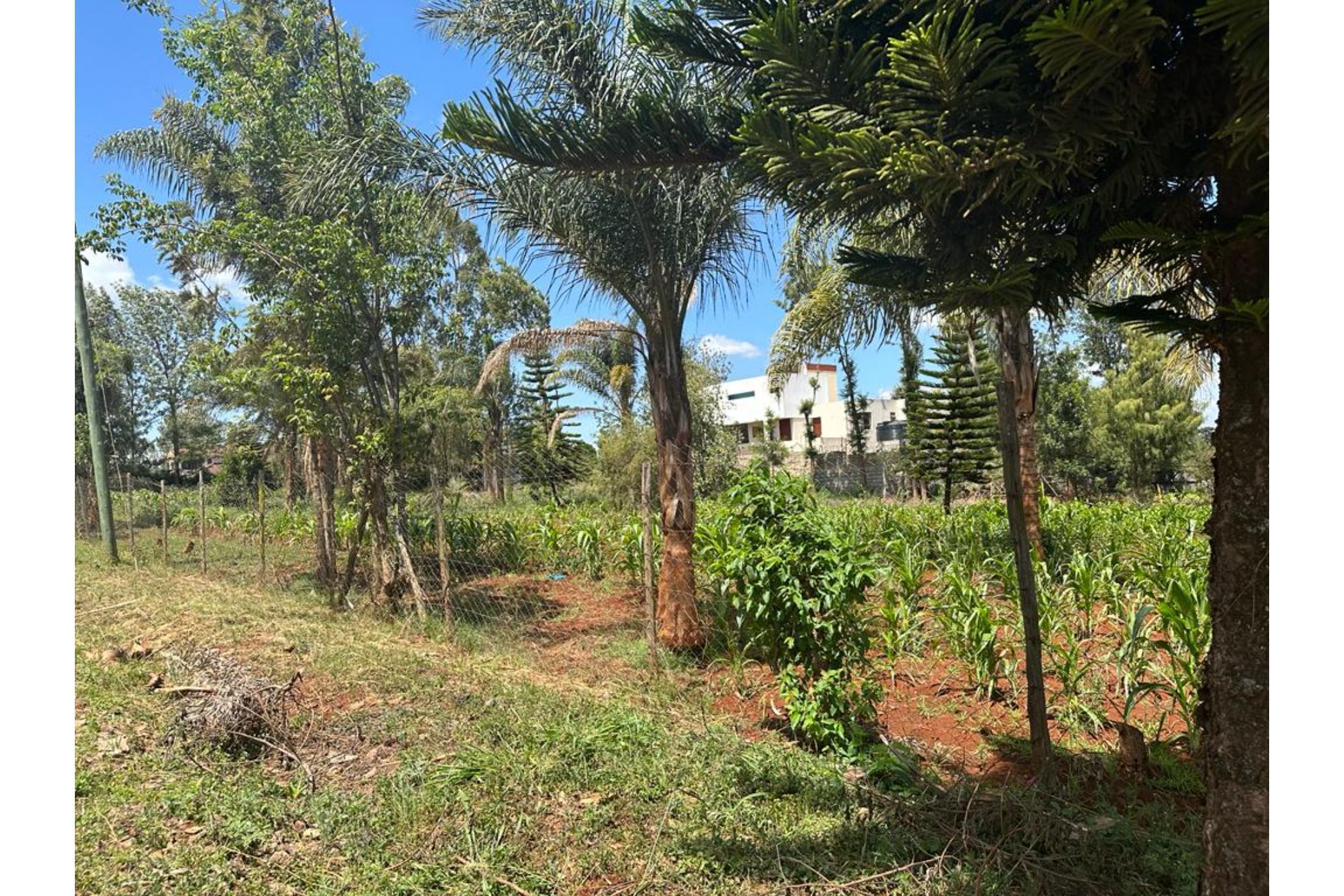 0.25 acres residential vacant land for sale in Kiambu Road (Kenya)
