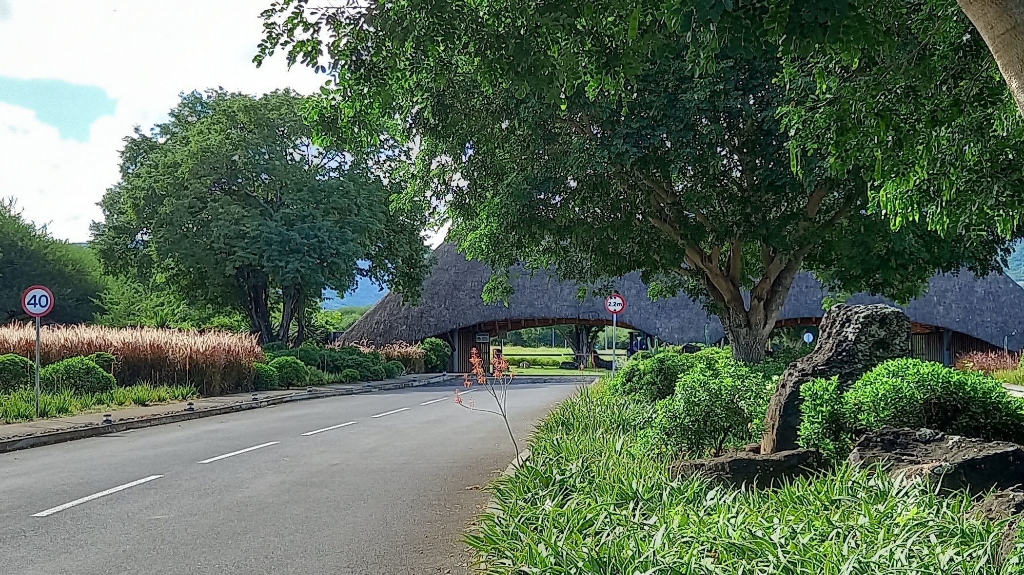 2518 m&sup2; residential vacant land for sale in Petite Riviere Noire (Mauritius)