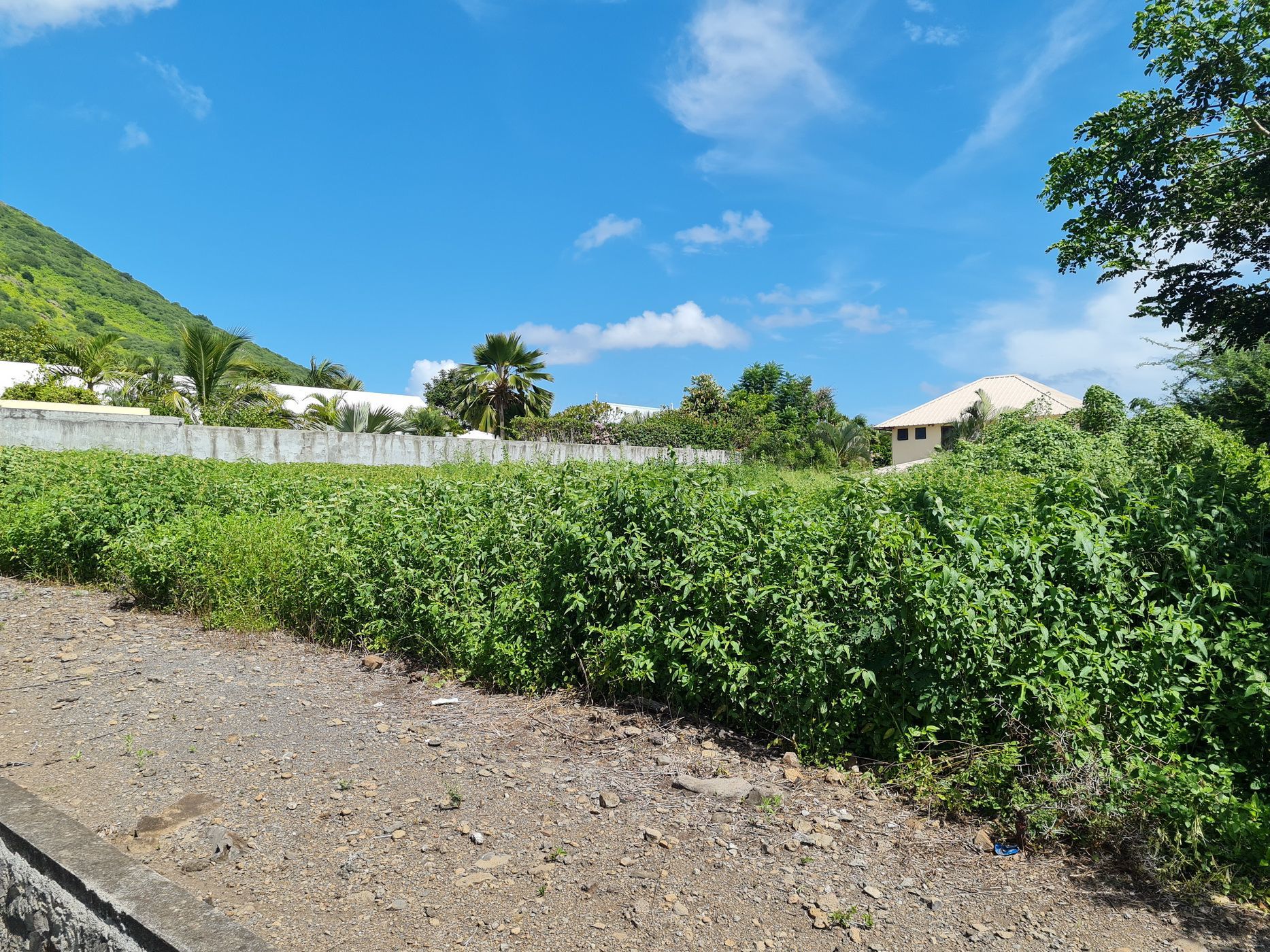 998 m2 Residential Vacant Land For Sale Tamarin (Mauritius