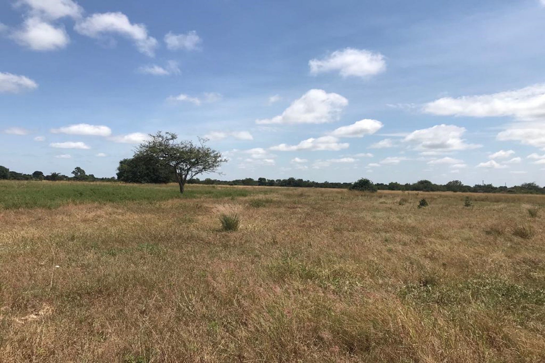 5.66 hectare Farm Vacant Land For Sale Chibombo (Zambia) 3ZA1613574