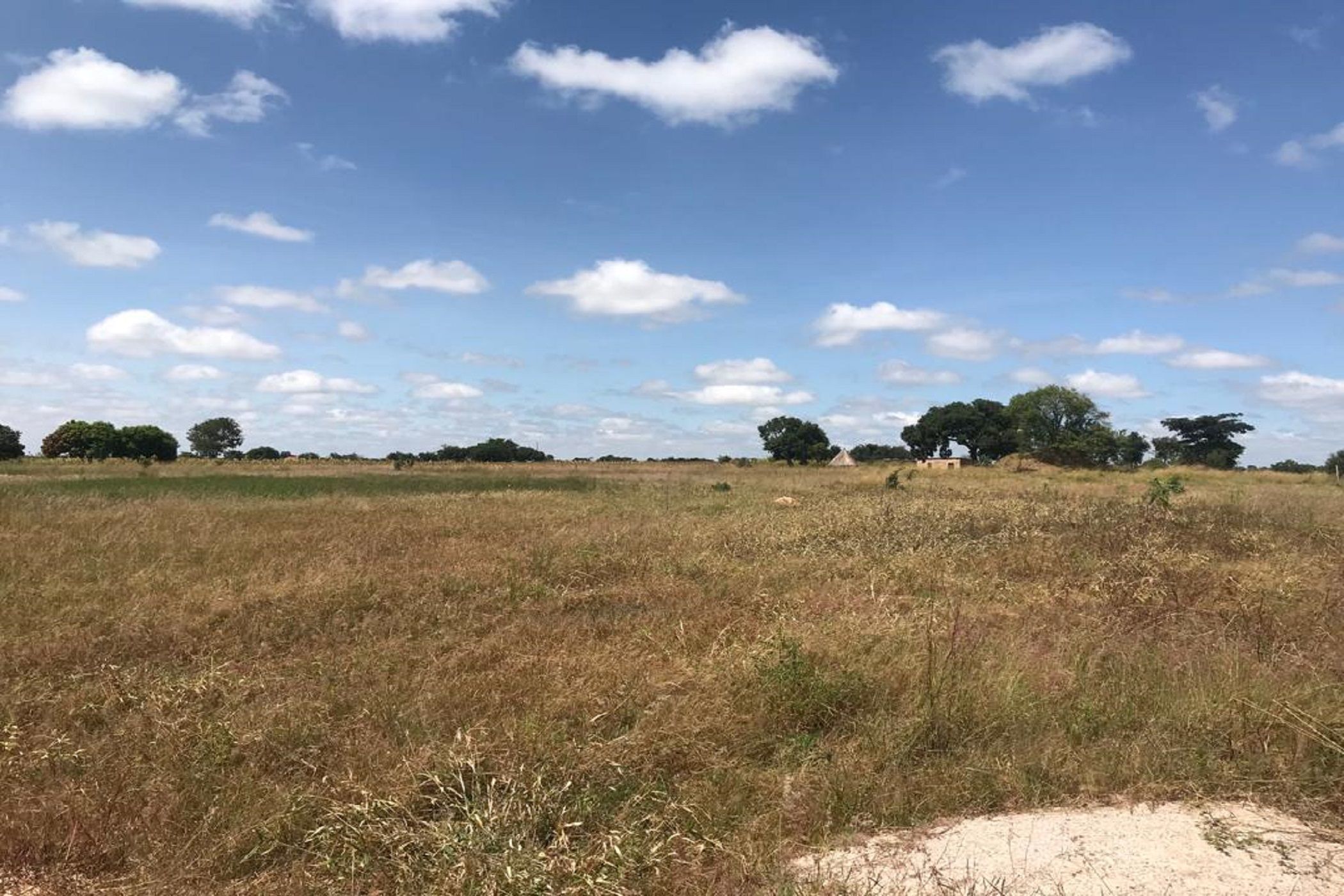 5.66 hectare Farm Vacant Land For Sale Chibombo (Zambia) 3ZA1613574 Pam Golding Properties