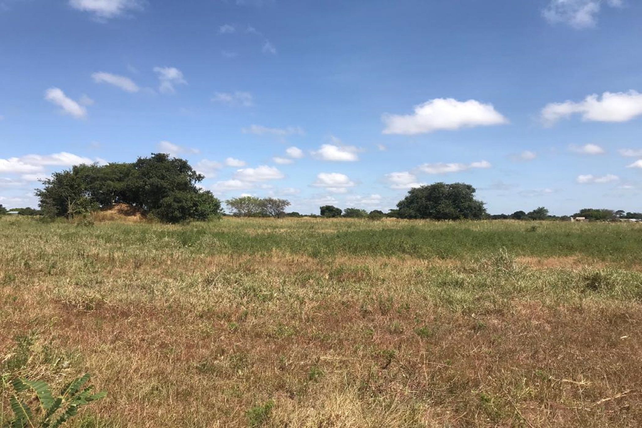 5.66 hectare Farm Vacant Land For Sale Chibombo (Zambia) 3ZA1613574 Pam Golding Properties