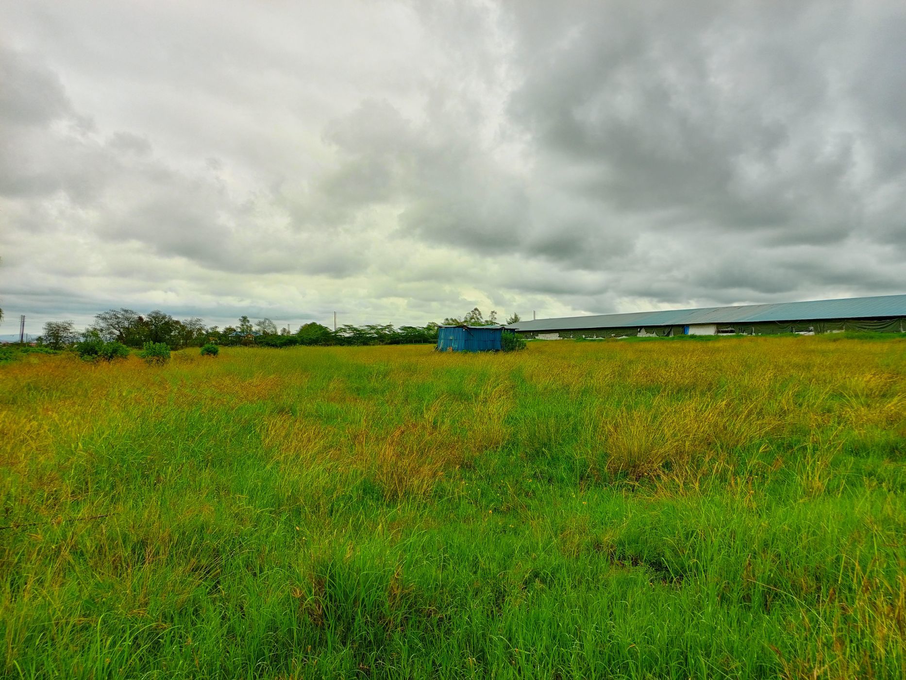 15 acres vacant land for sale in Kitengela (Kenya)