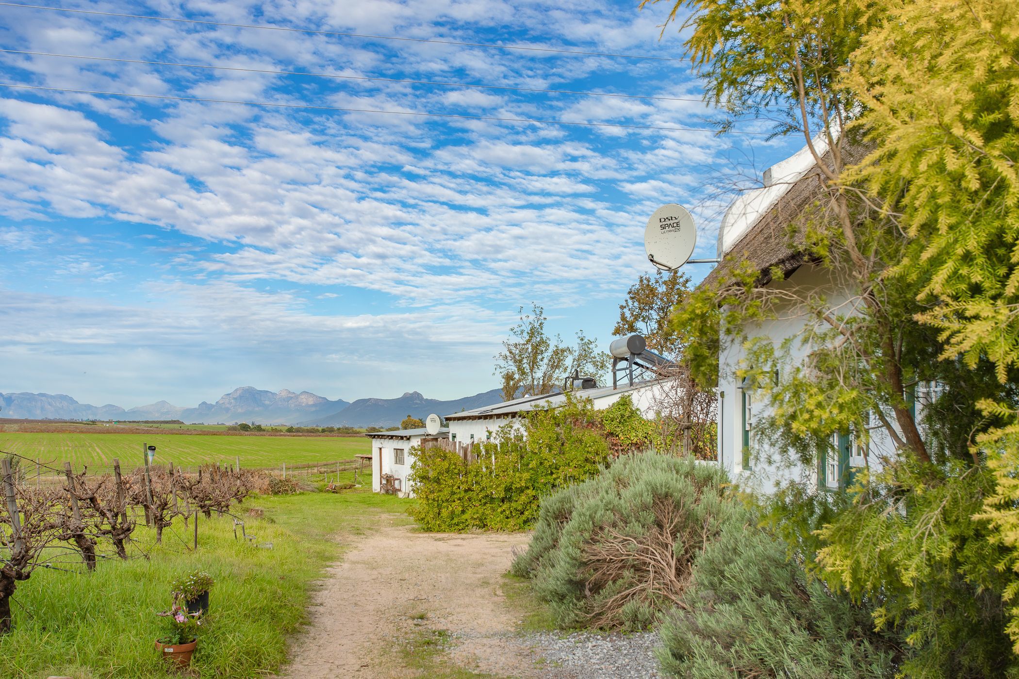 4.3 hectare Wine Farm For Sale Wellington Rural TK1615683 Pam