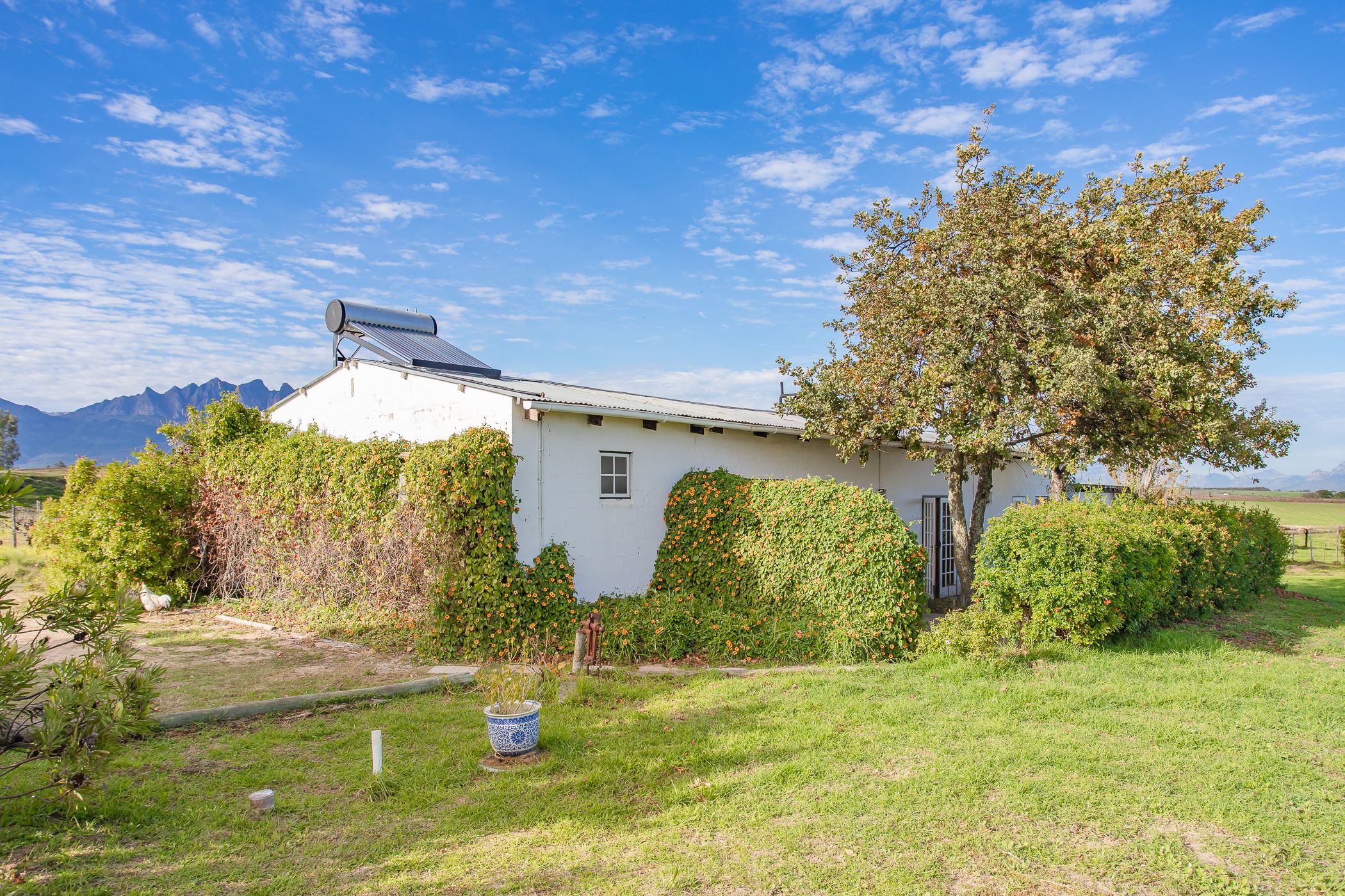 4.3 hectare Wine Farm For Sale Wellington Rural TK1615683 Pam