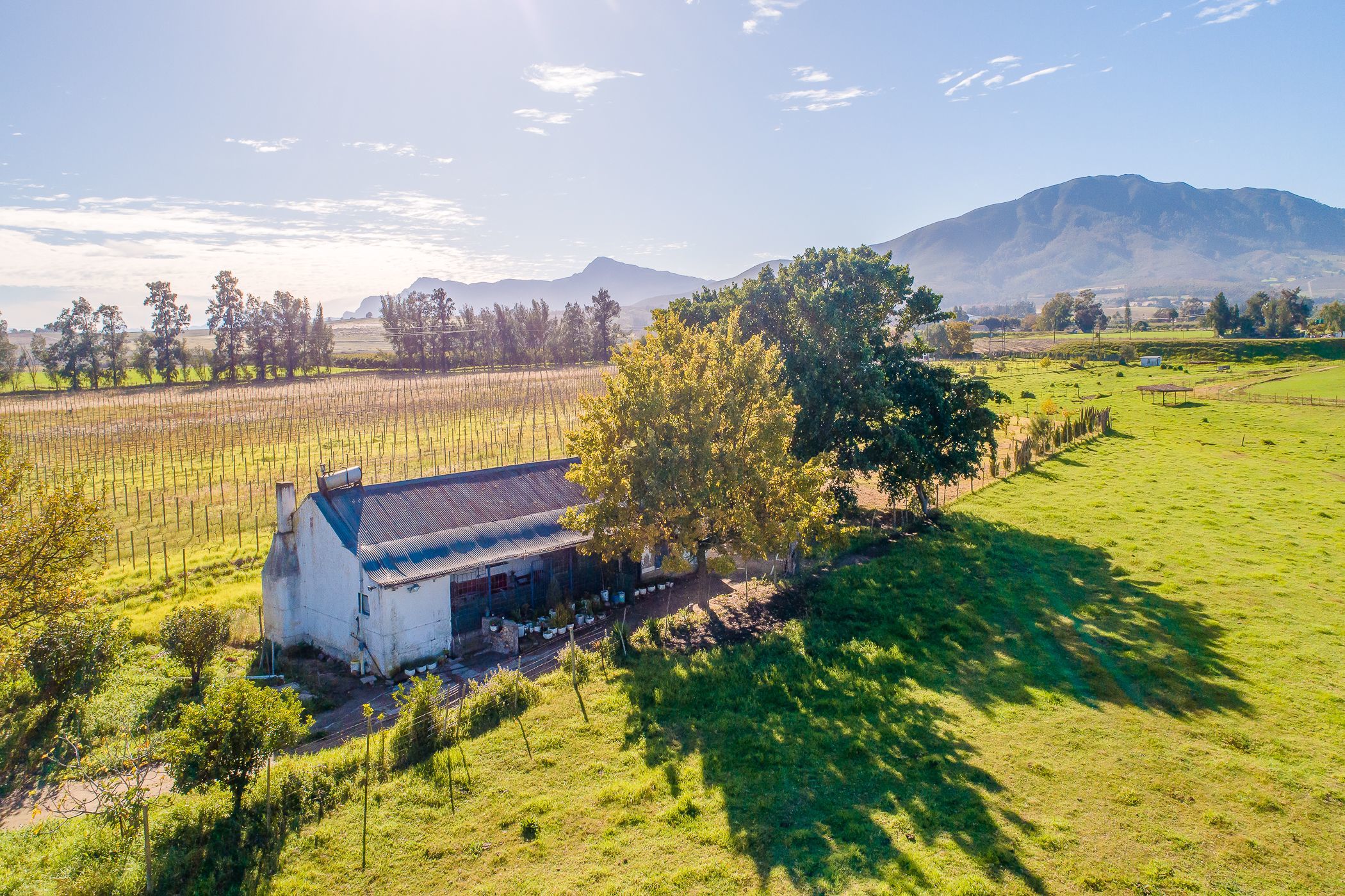 4.3 hectare Wine Farm For Sale Wellington Rural TK1615683 Pam