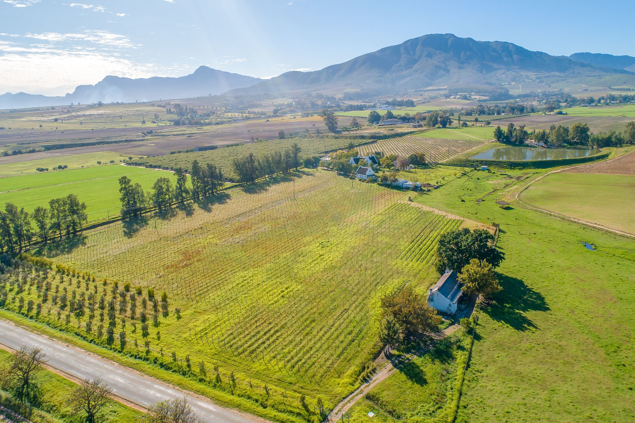 4.3 hectare Wine Farm For Sale Wellington Rural TK1615683 Pam