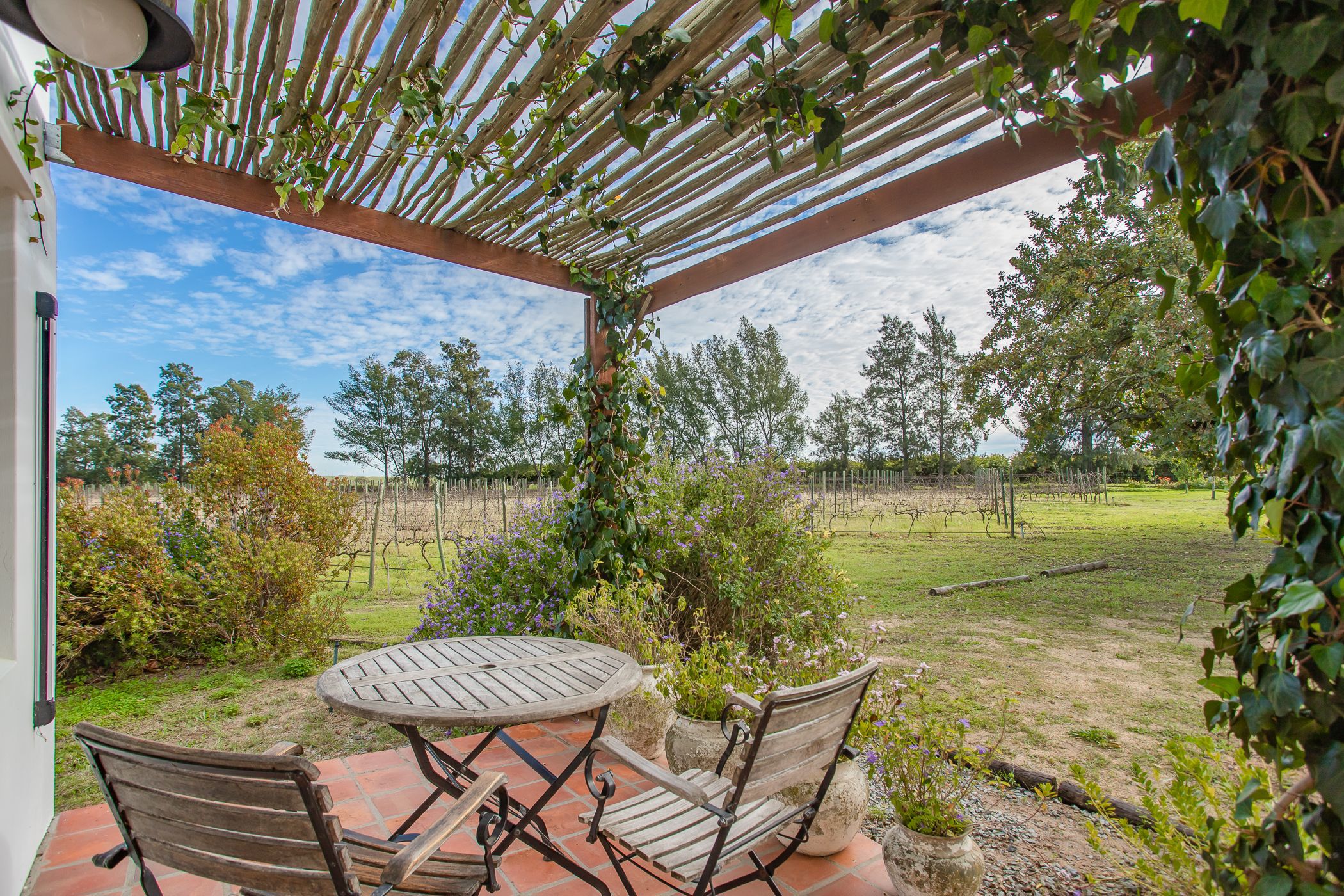 4.3 hectare Wine Farm For Sale Wellington Rural TK1615683 Pam