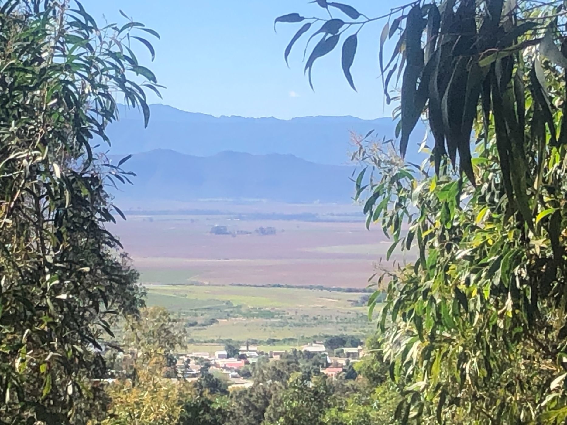 47869 m&sup2; vacant land for sale in Riebeek West